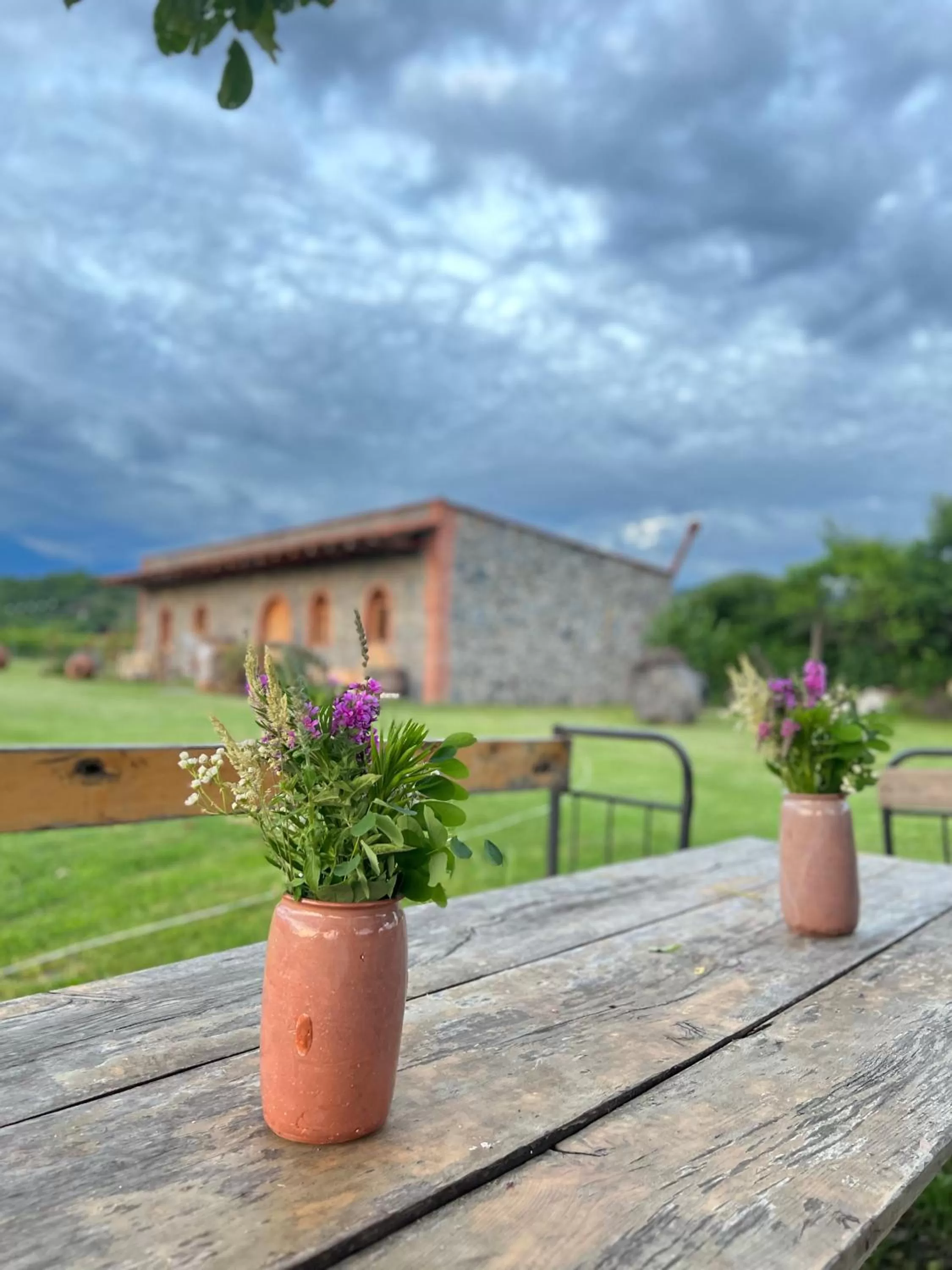 Garden view in Chubini Winery & Cabins