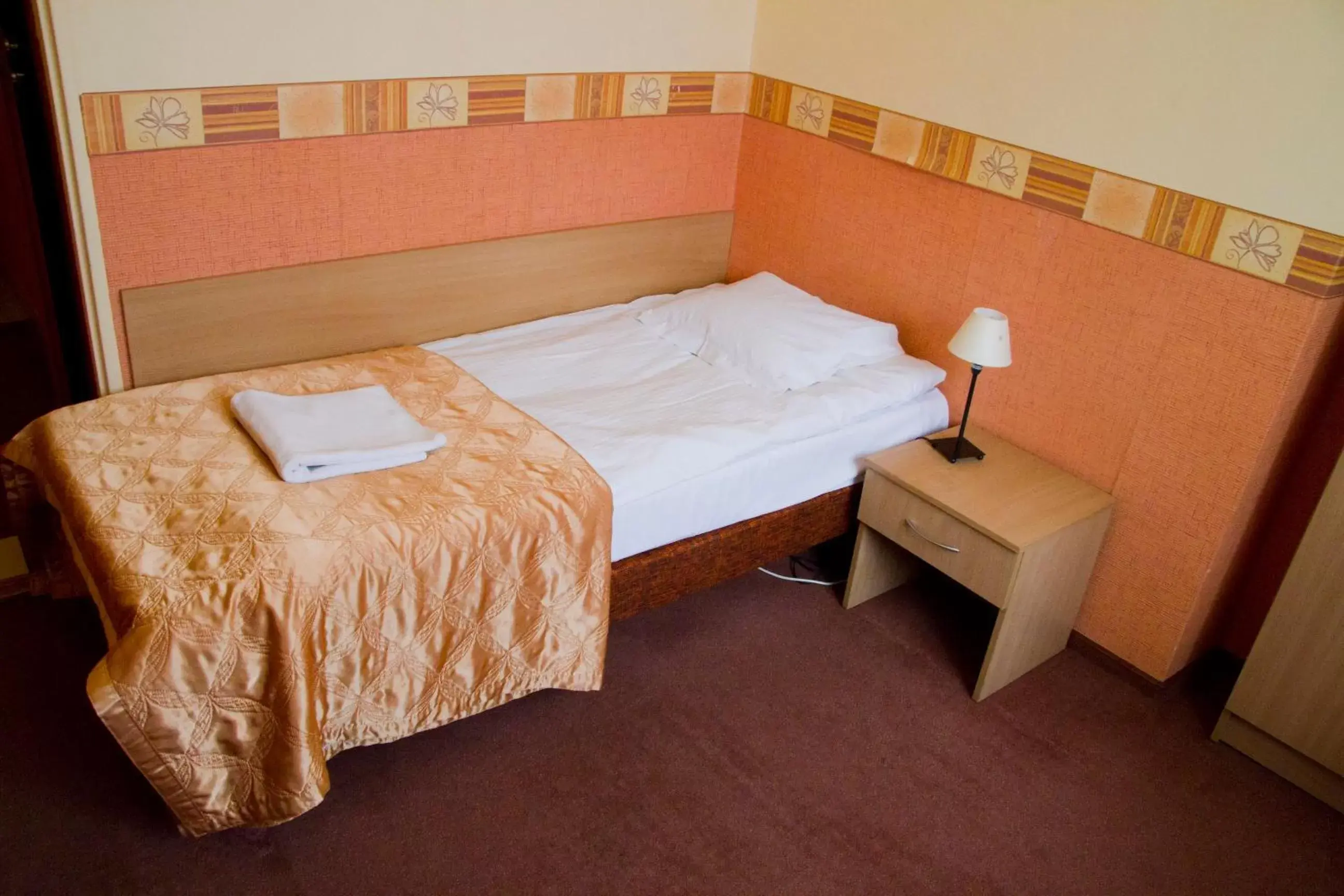 Single Room in Hotel Iskra Single Room in Hotel Iskra