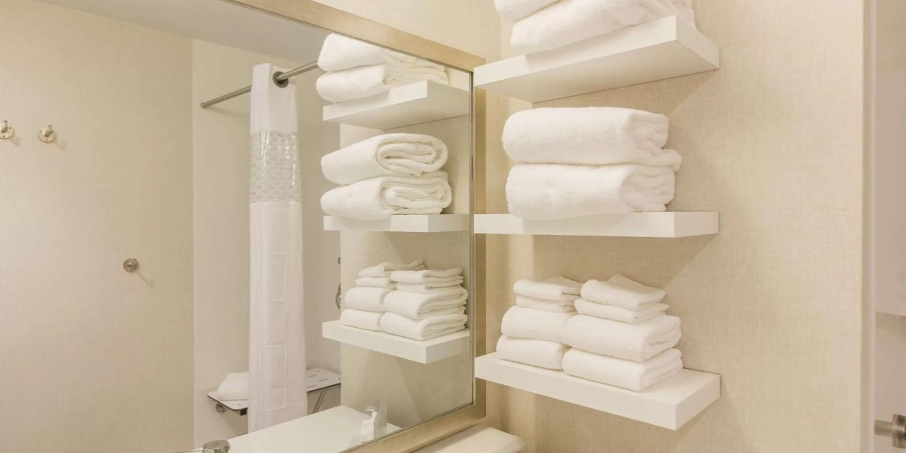 Bathroom in Hampton Inn & Suites Charlotte/Ballantyne, Nc