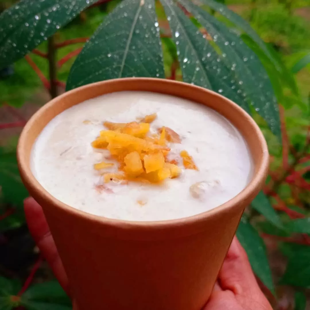 Banana Grove El Nido