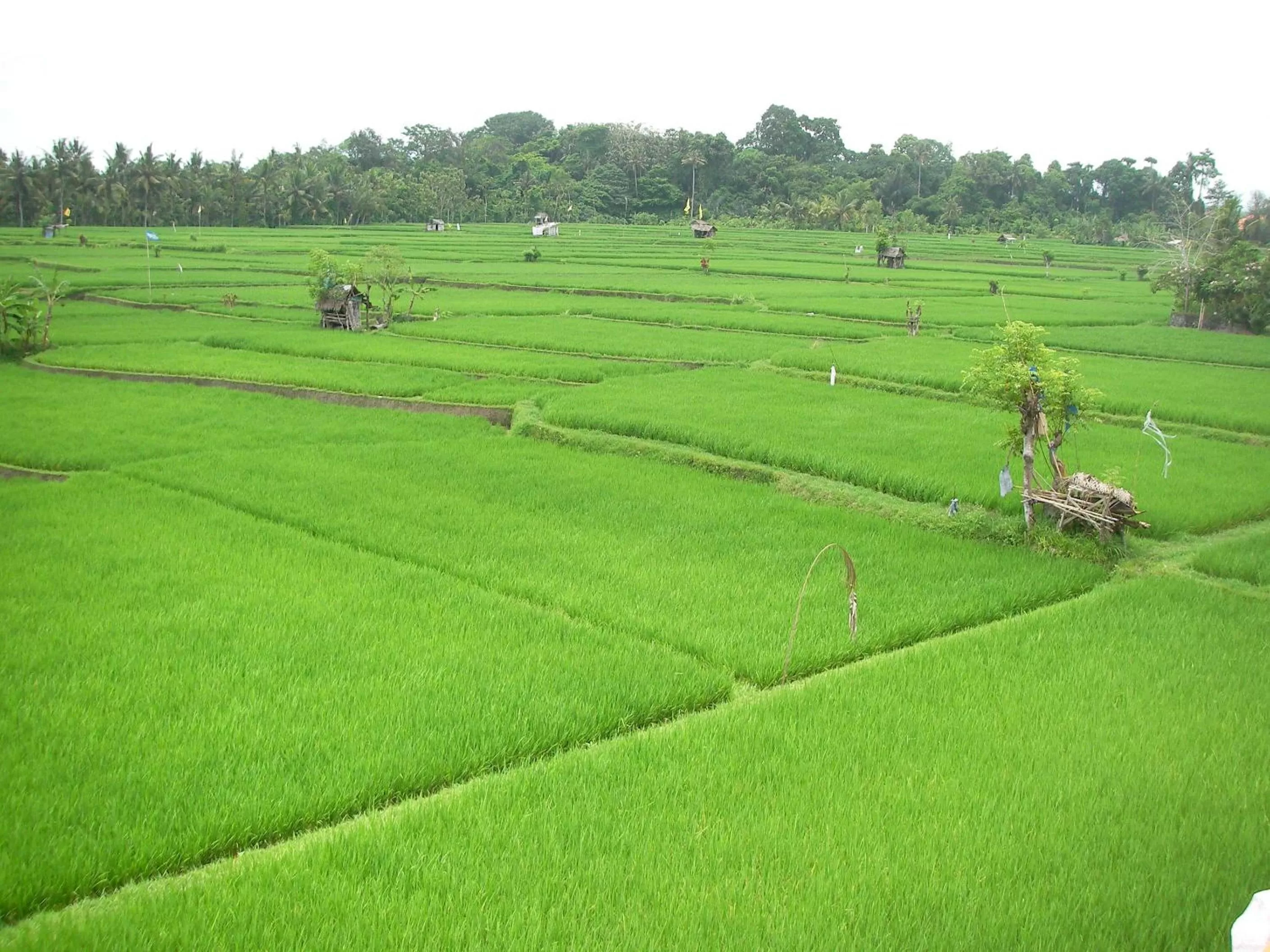 Bird's eye view in Green Field Hotel and Restaurant
