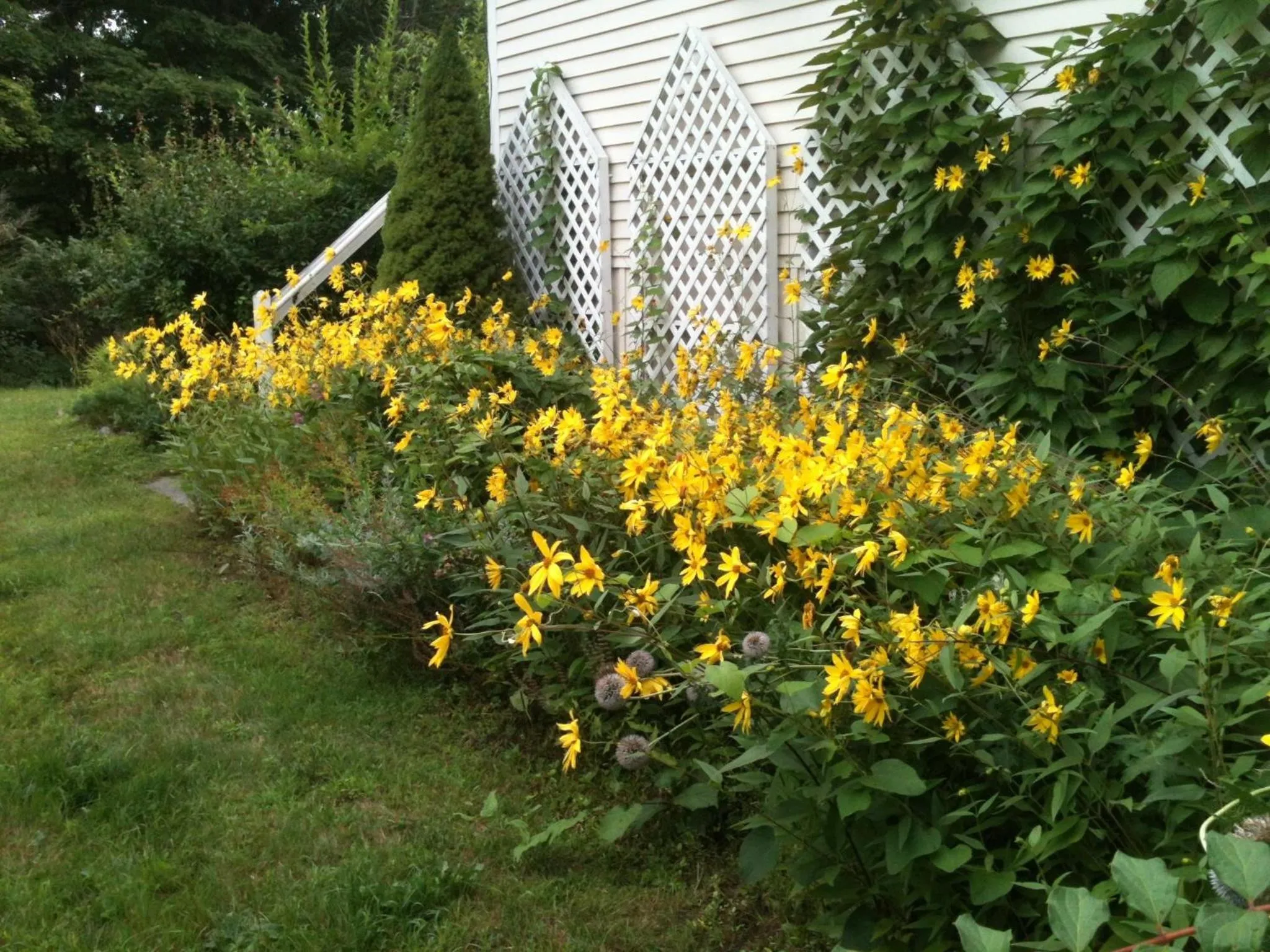 Spring in Deerhill Inn