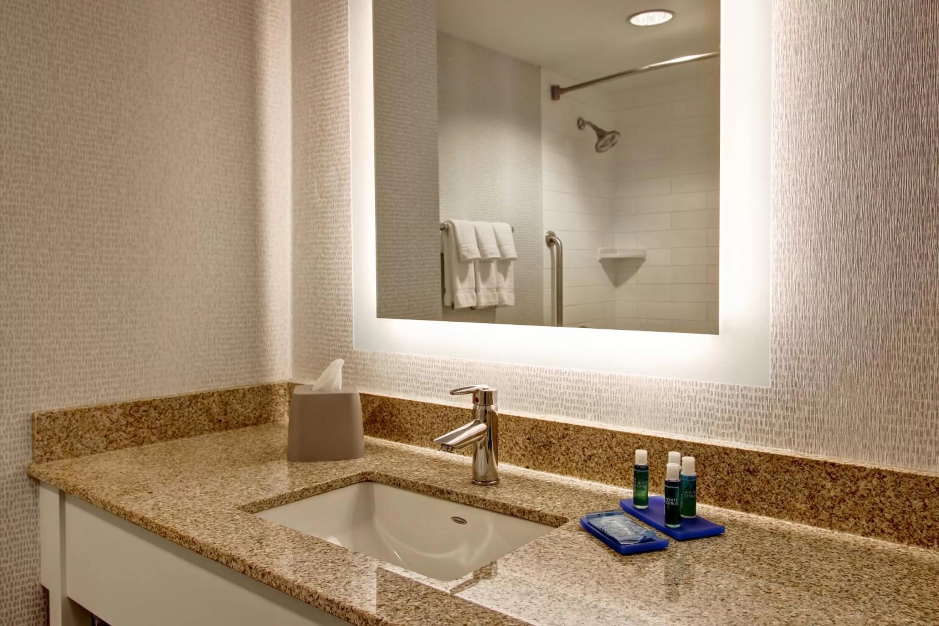 Bathroom in Holiday Inn Express Hotel & Suites Toronto - Markham by IHG