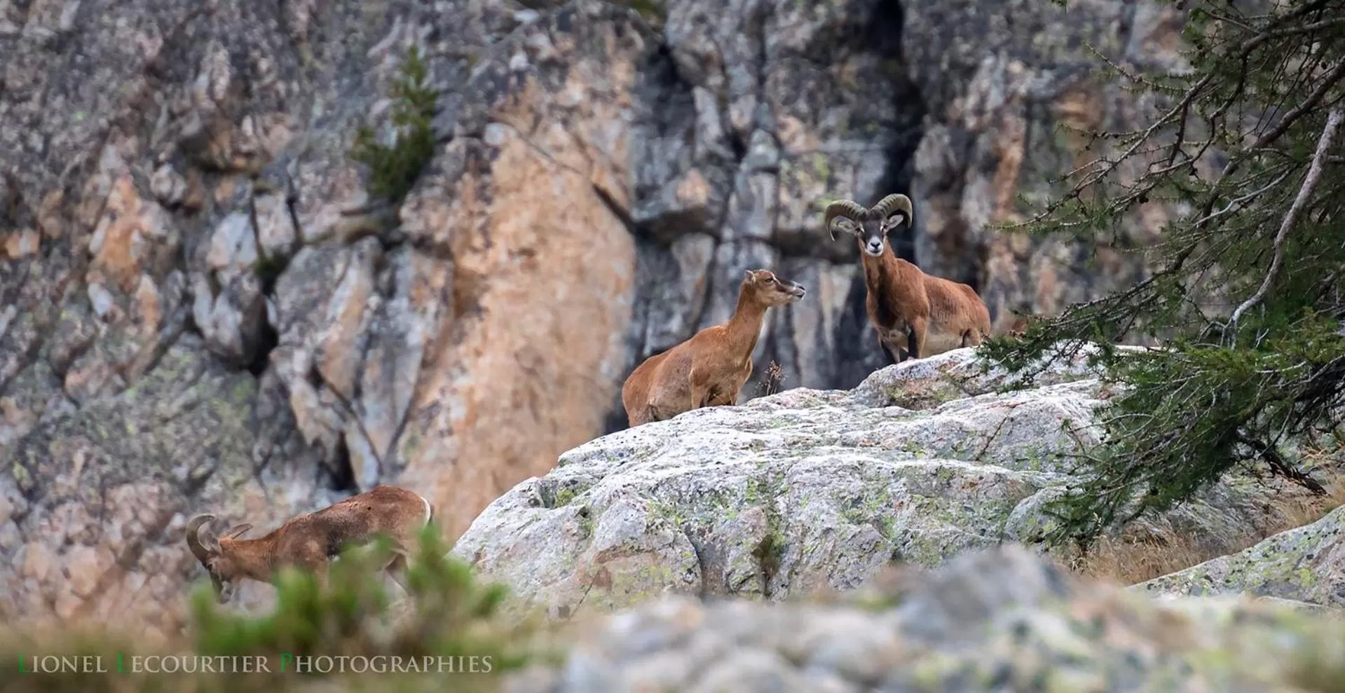 Hotel La Bonne Auberge