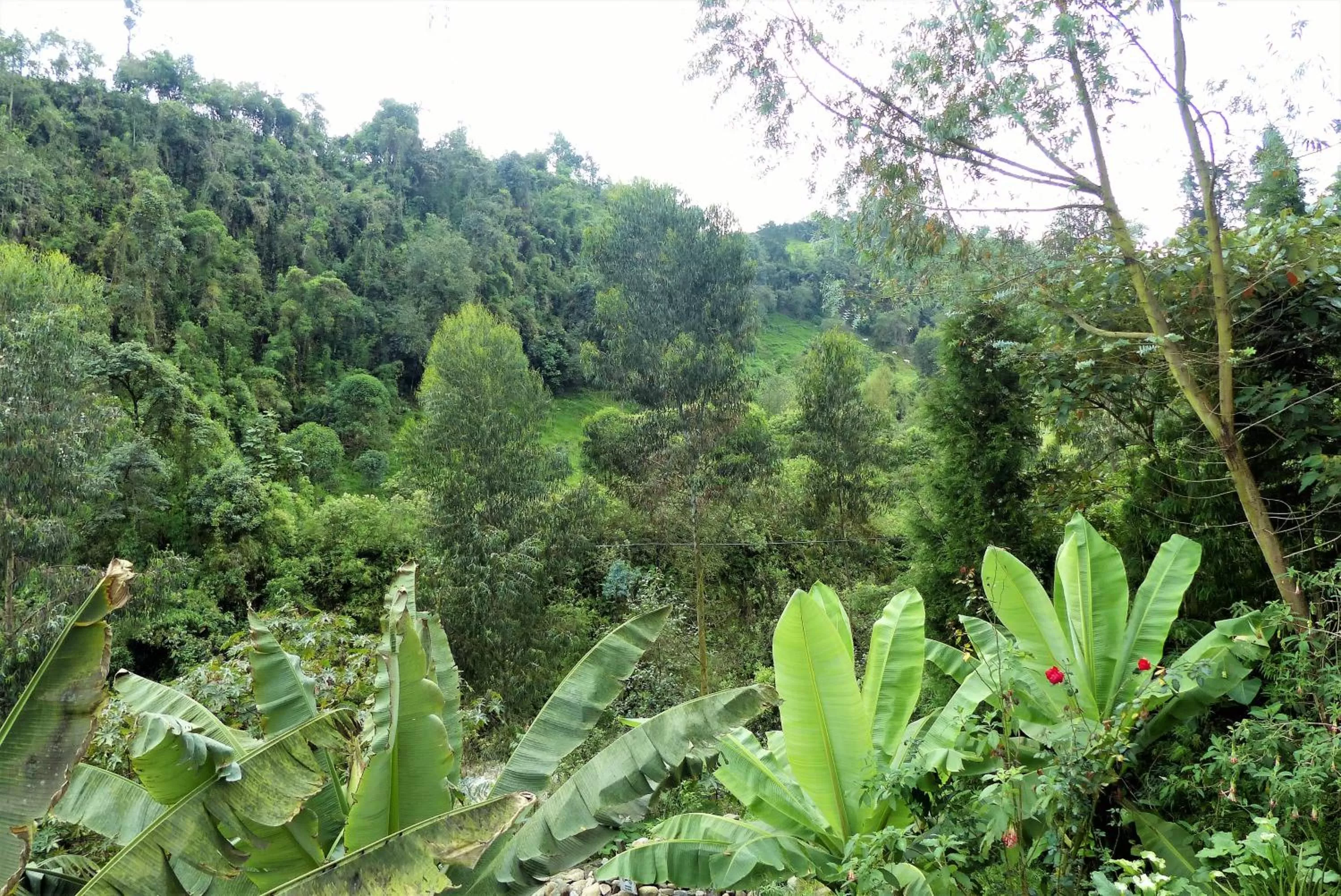 Photo of the whole room, Natural Landscape in Hotel Termales Tierra Viva