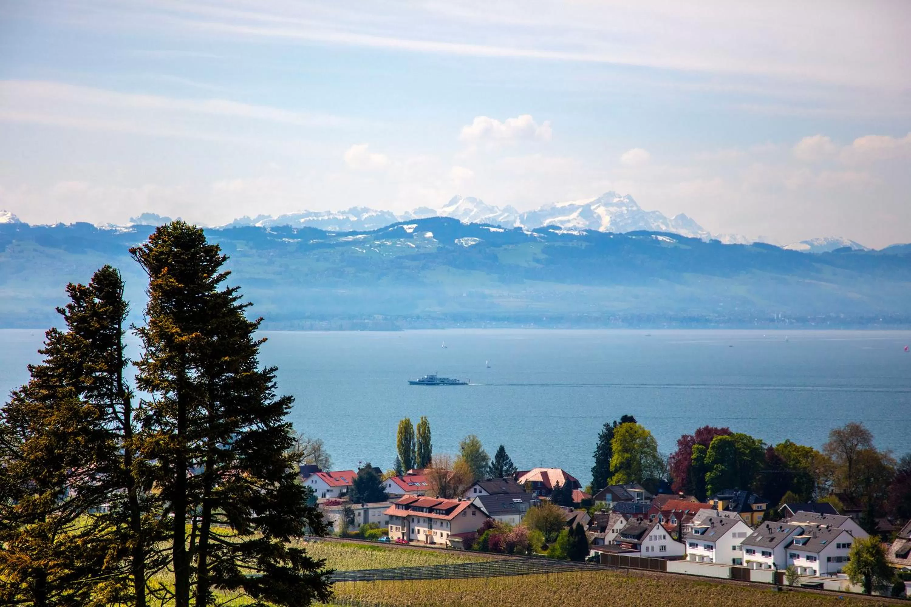 Lake view, Sea View in Bodensee-Hotel Sonnenhof