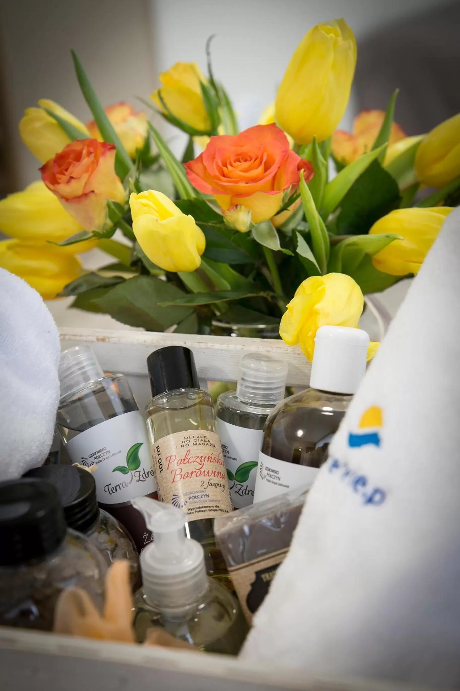 Activities in Interferie Cechsztyn