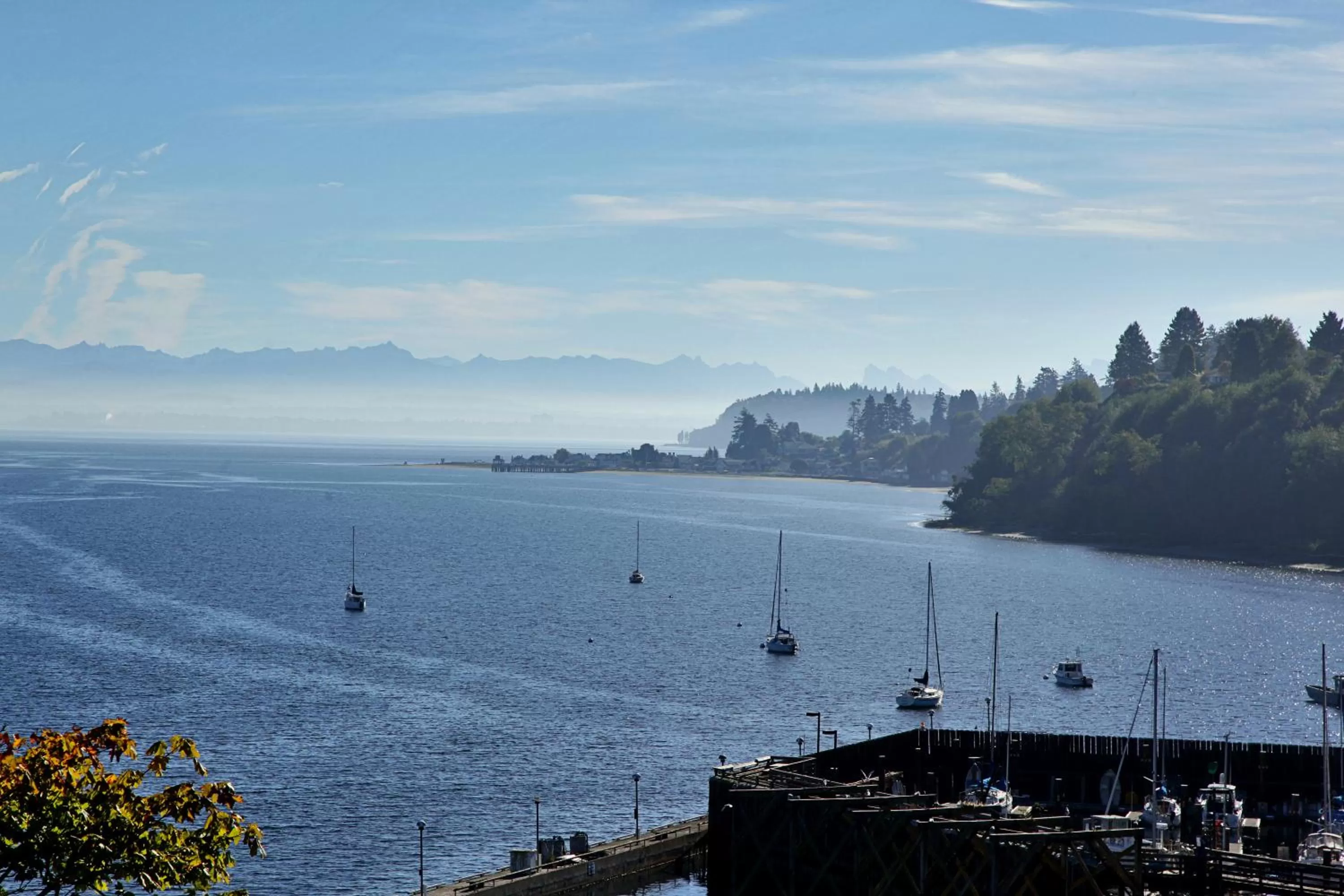 Natural landscape in Saratoga Inn