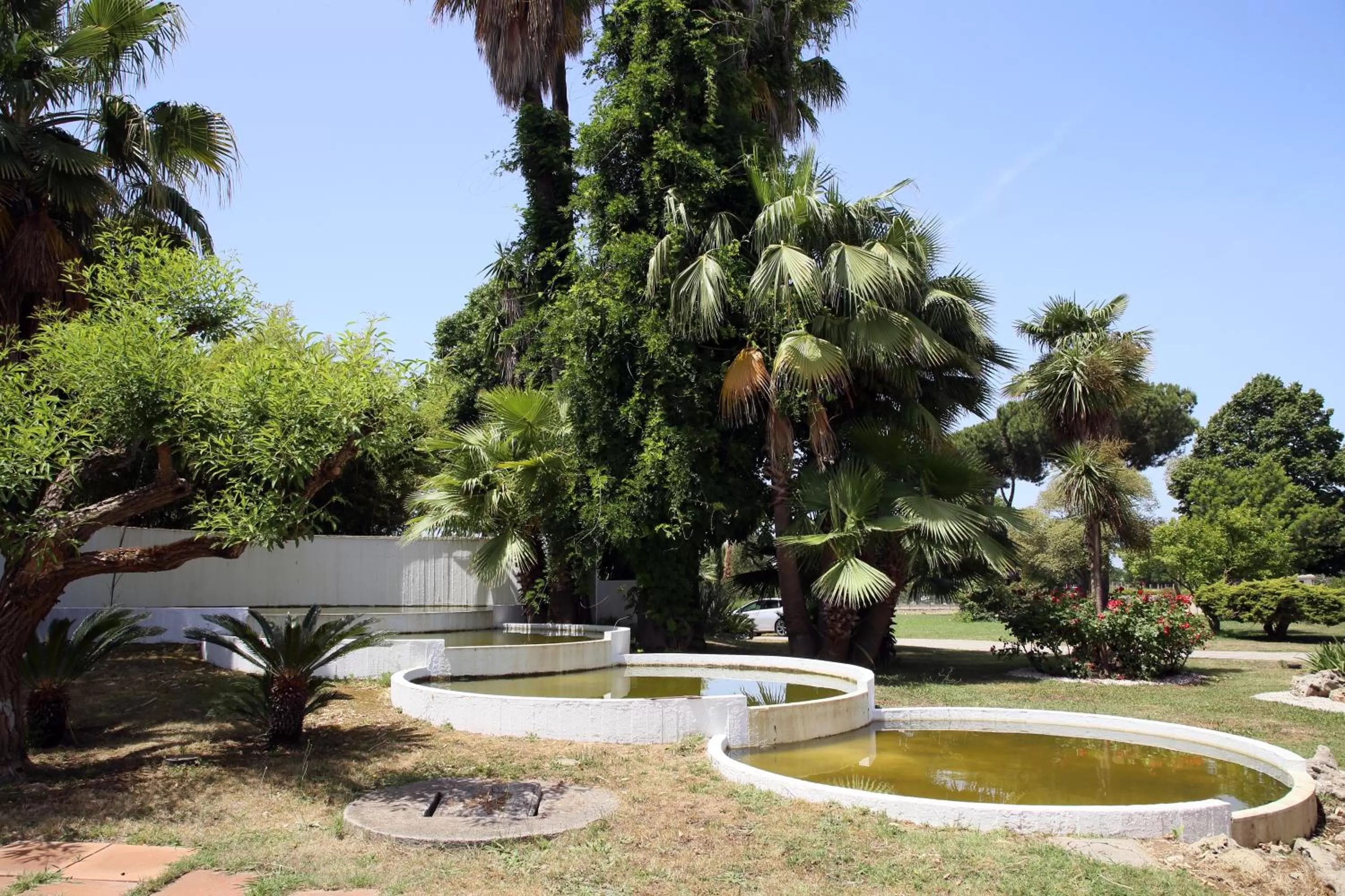 Garden, Swimming Pool in paradise suite