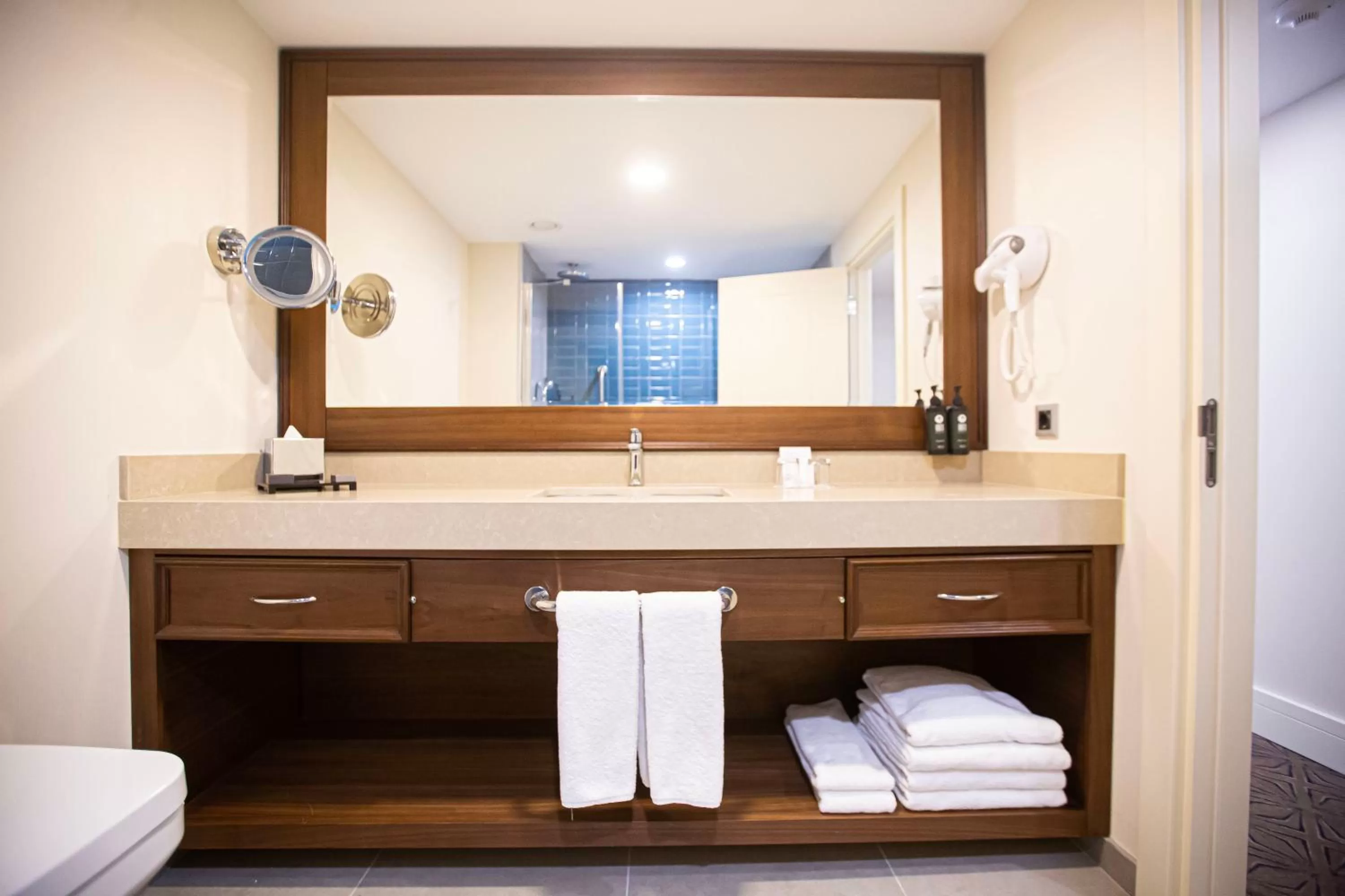 Toilet in Ramada Plaza Sultanahmet