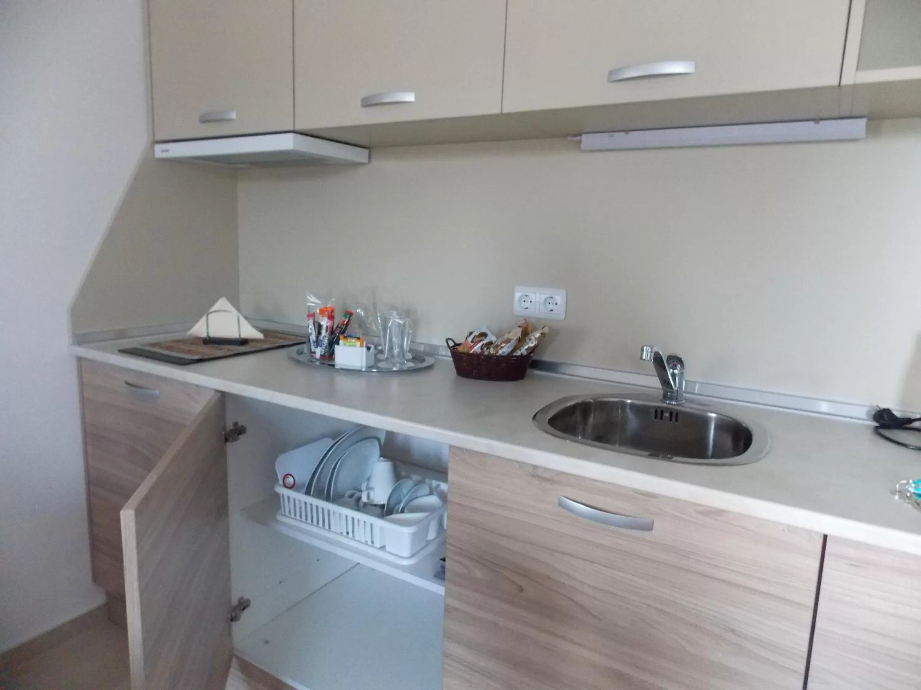 Coffee/tea facilities, Kitchen/Kitchenette in Apart Hotel Rosen