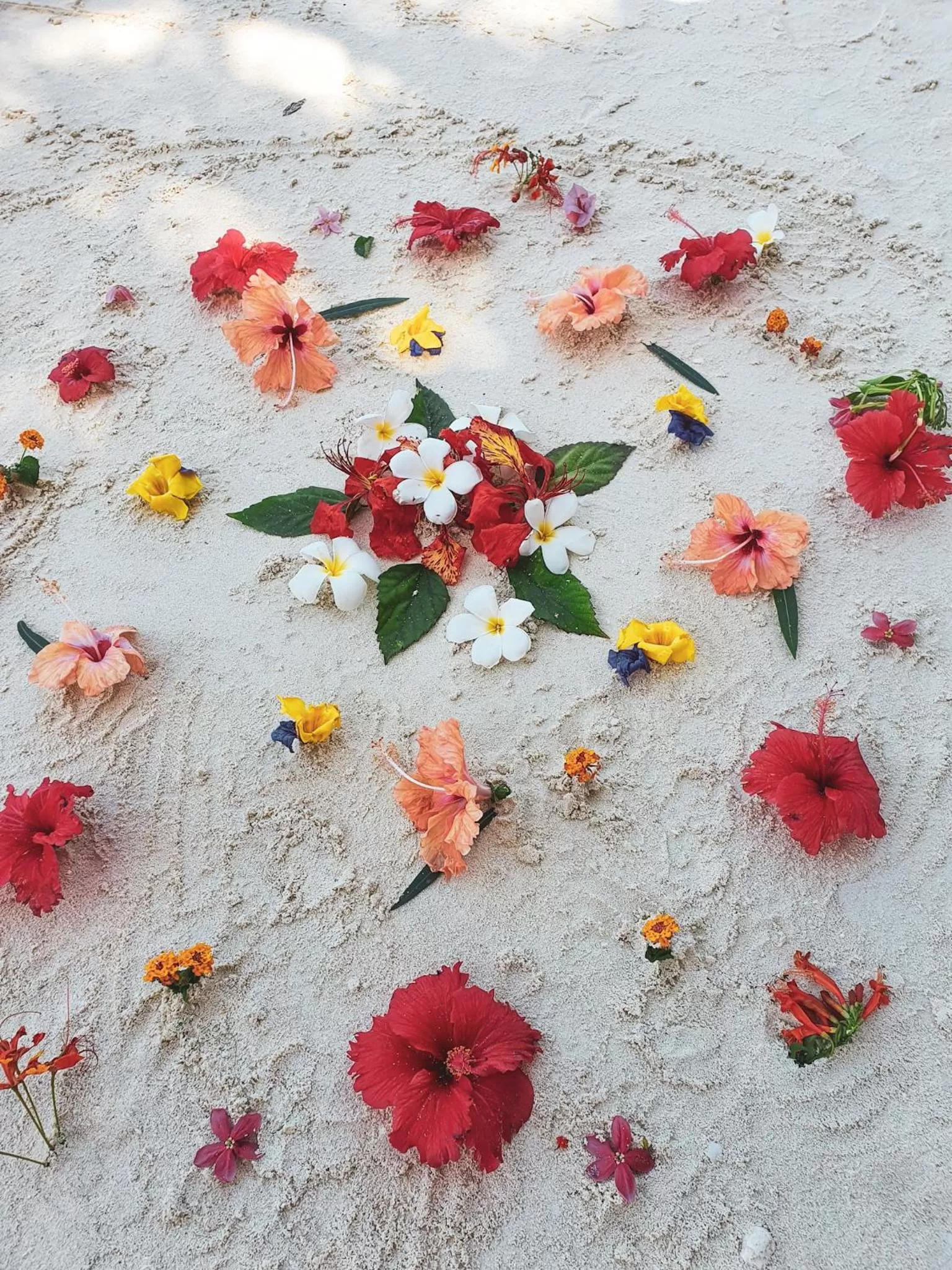 Fitness centre/facilities in Flame Tree Cottages