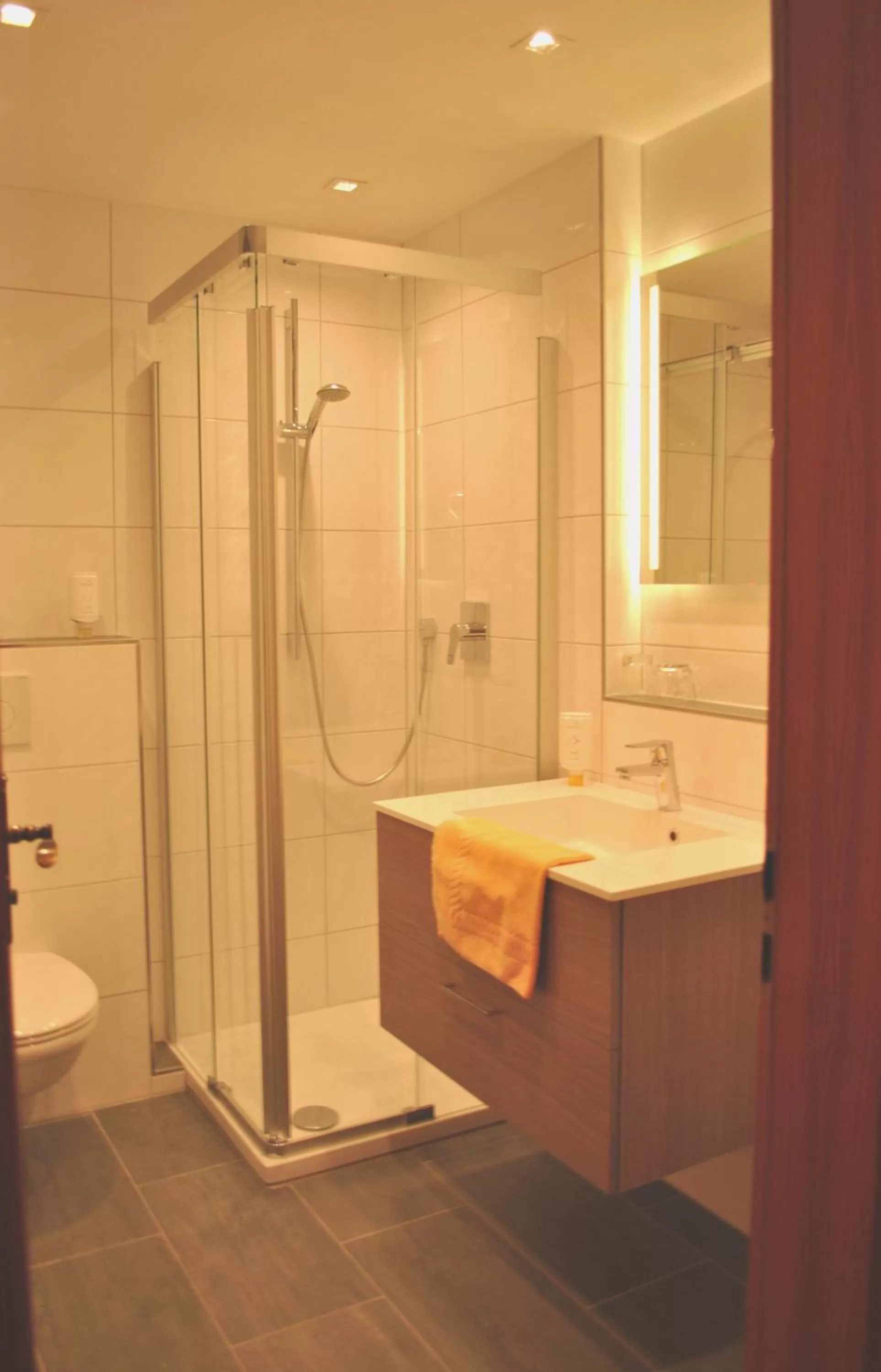 Bathroom in Landgasthof Goldener Pflug