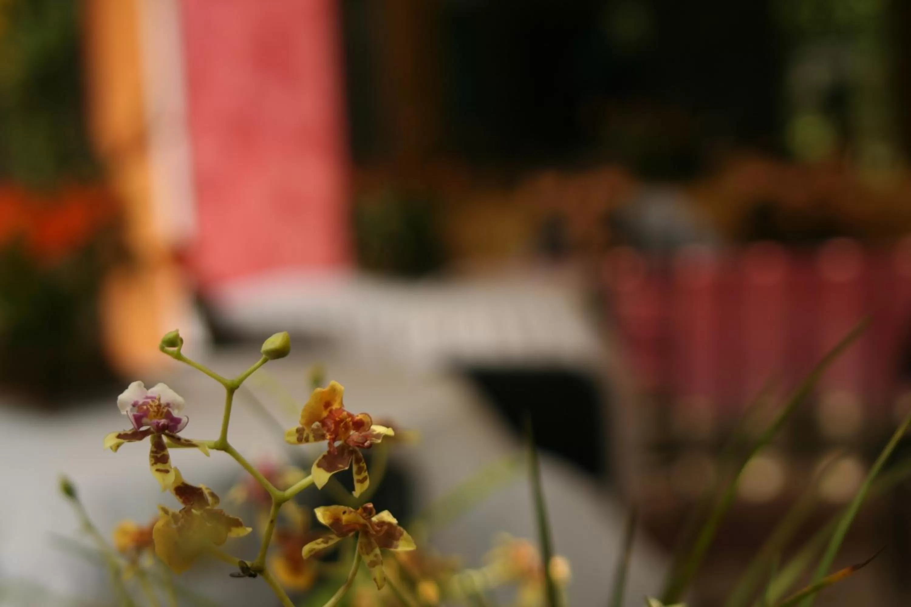 Business facilities in Spa Hosteria Miramelindo