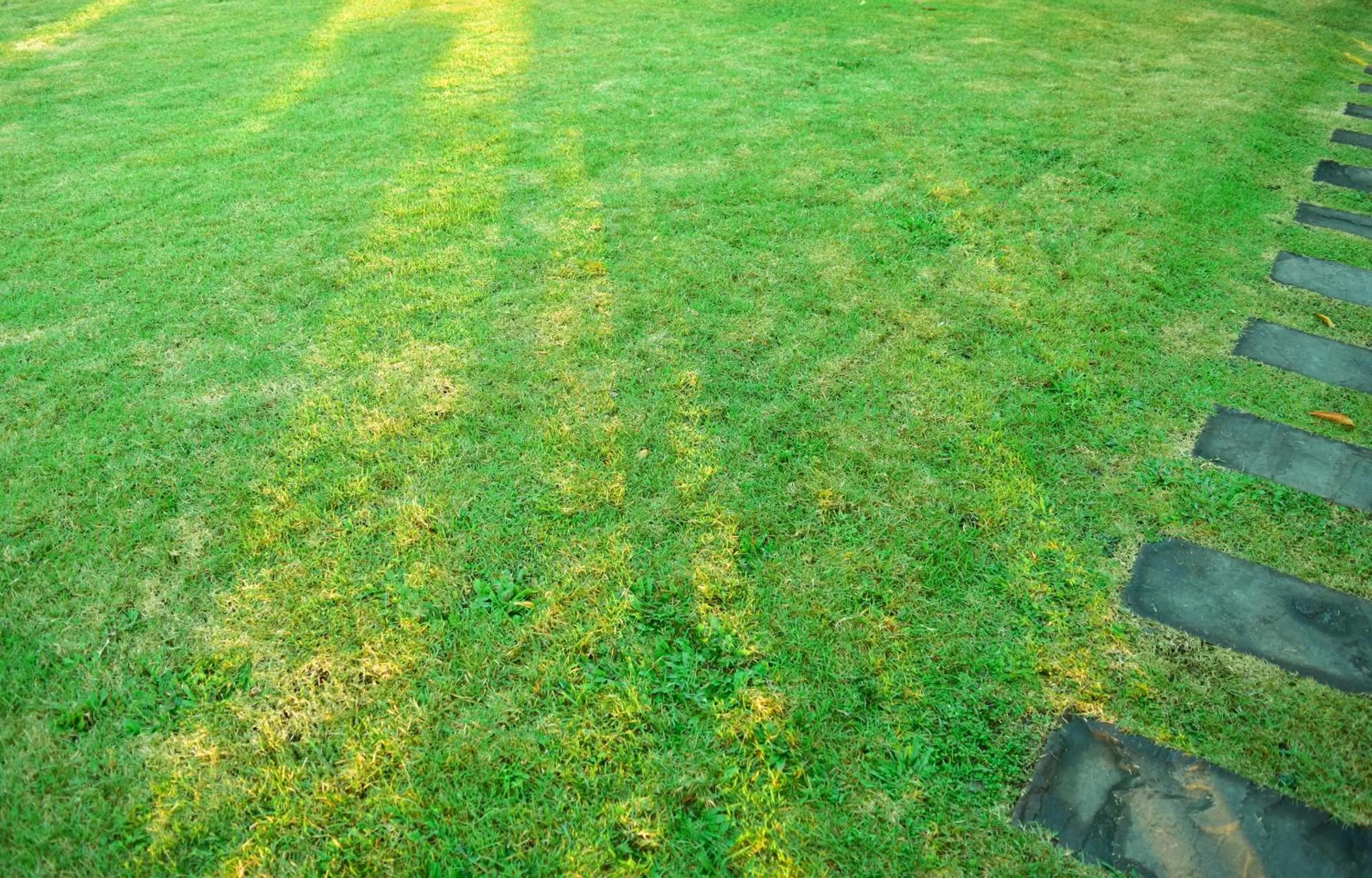 Garden in Chiang Mai Heritage House