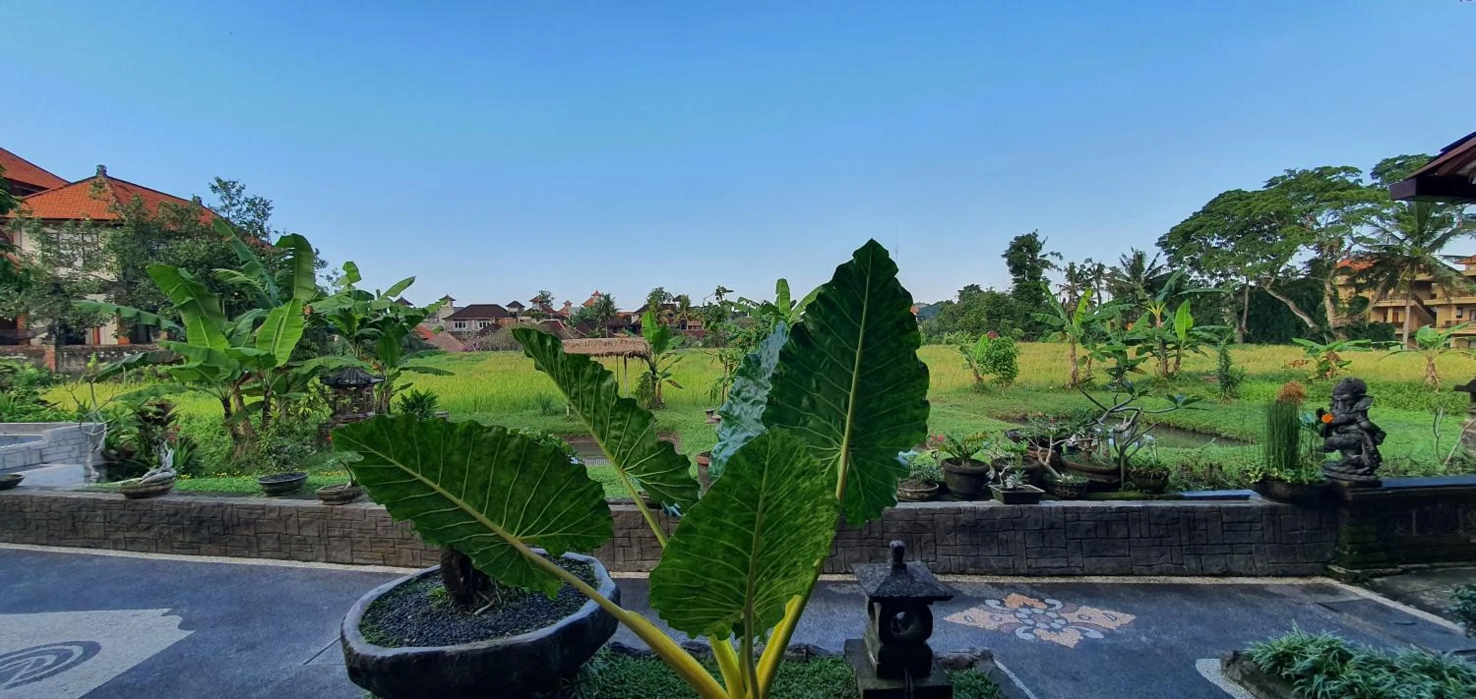 Natural landscape in Kun - Kun Guest House Ubud
