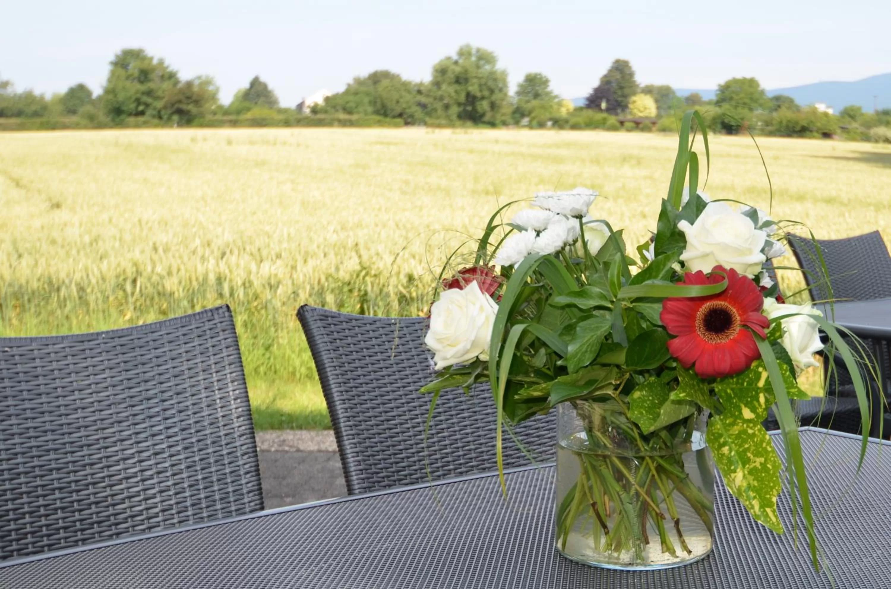 Patio in Landhotel Sulzbacher Hof