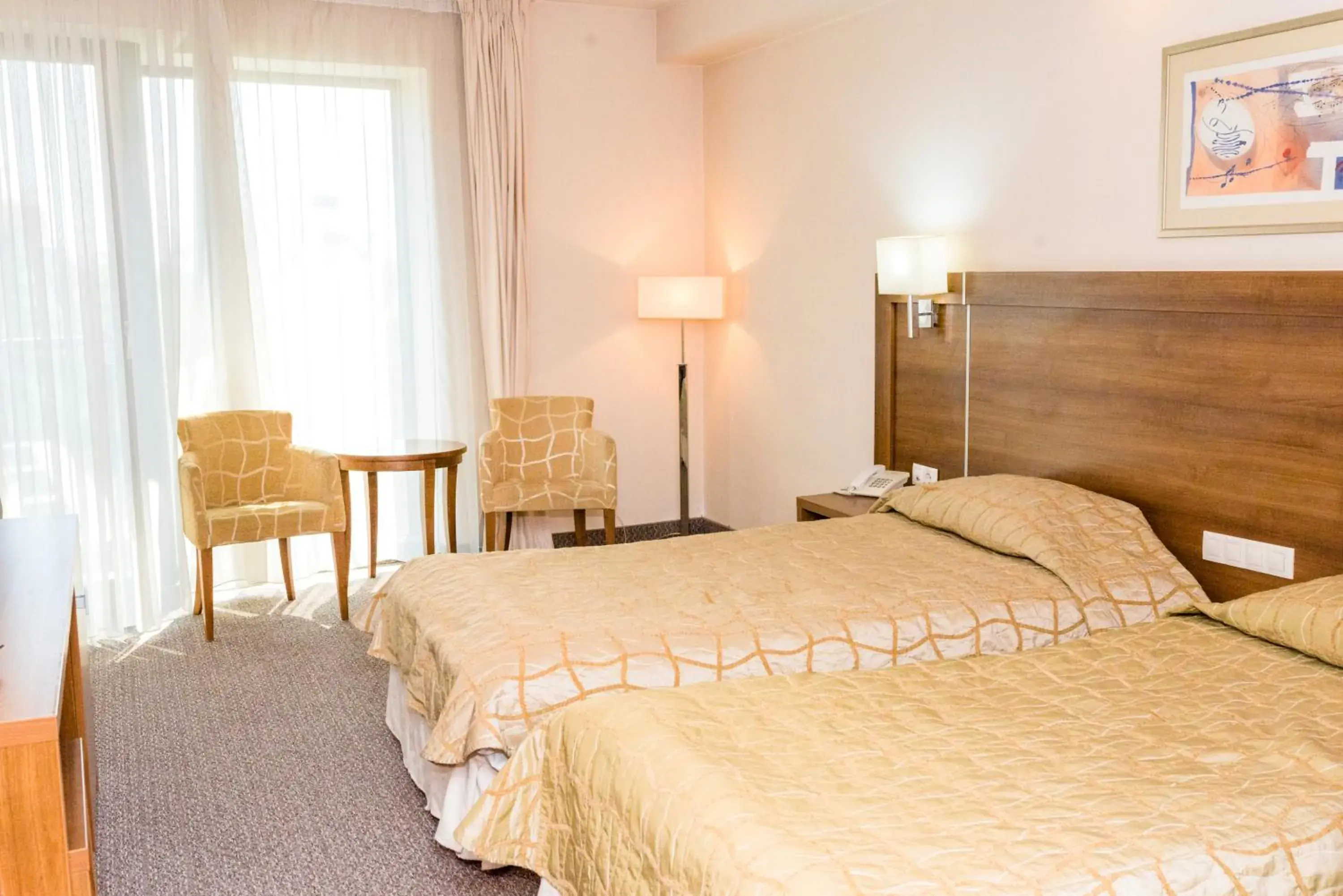 Double or Twin Room - single occupancy in Hotel Burgas Double or Twin Room - single occupancy in Hotel Burgas