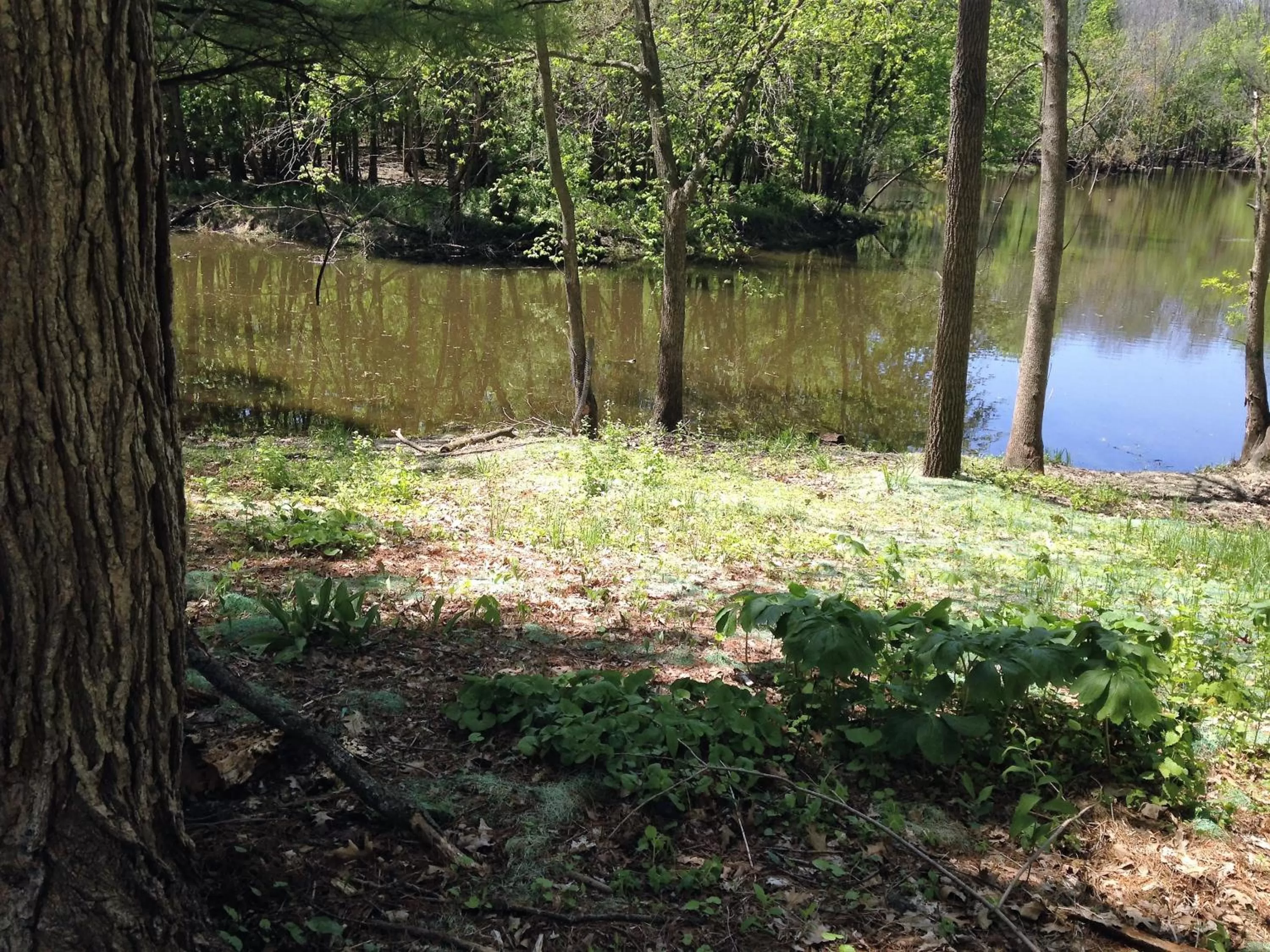 Property building in Montcler Hotel & Conference Center, Trademark by Wyndham