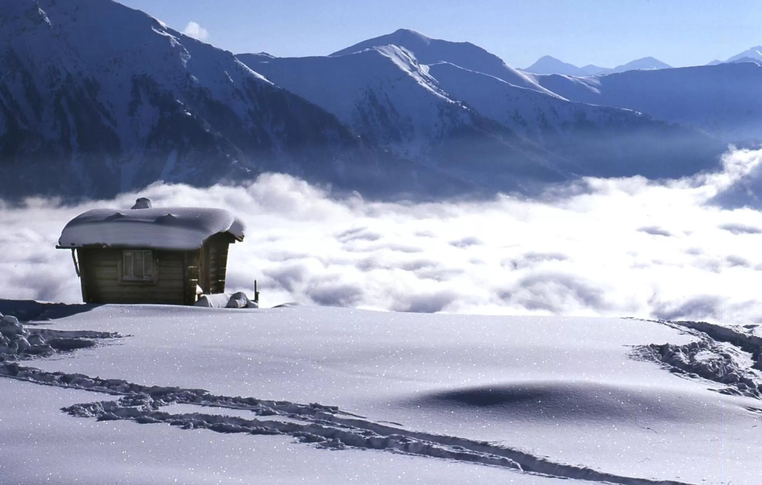 Area and facilities in Thermal Resort Hotel Elisabethpark