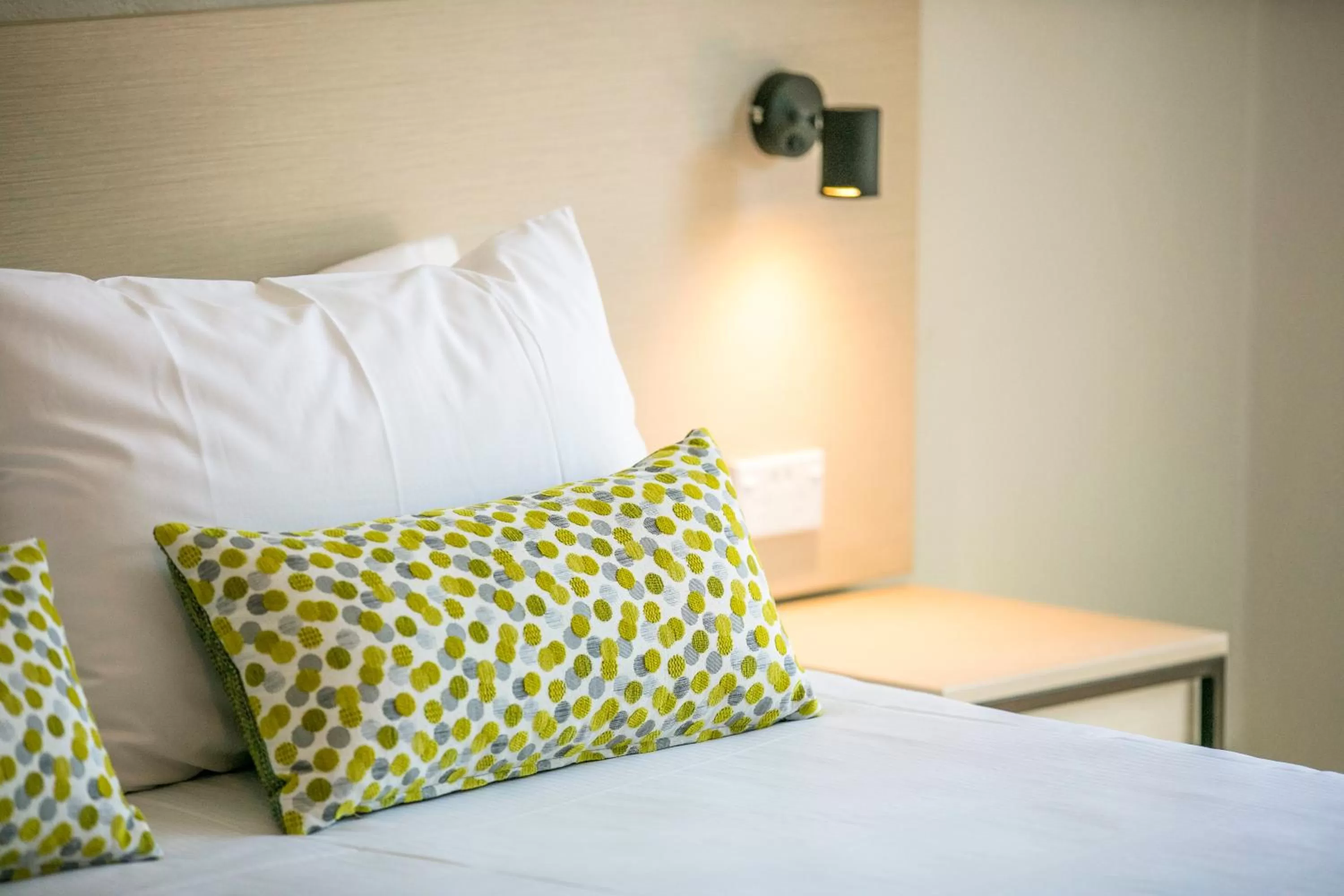 Decorative detail, Bed in Nightcap at Blue Cattle Dog Hotel