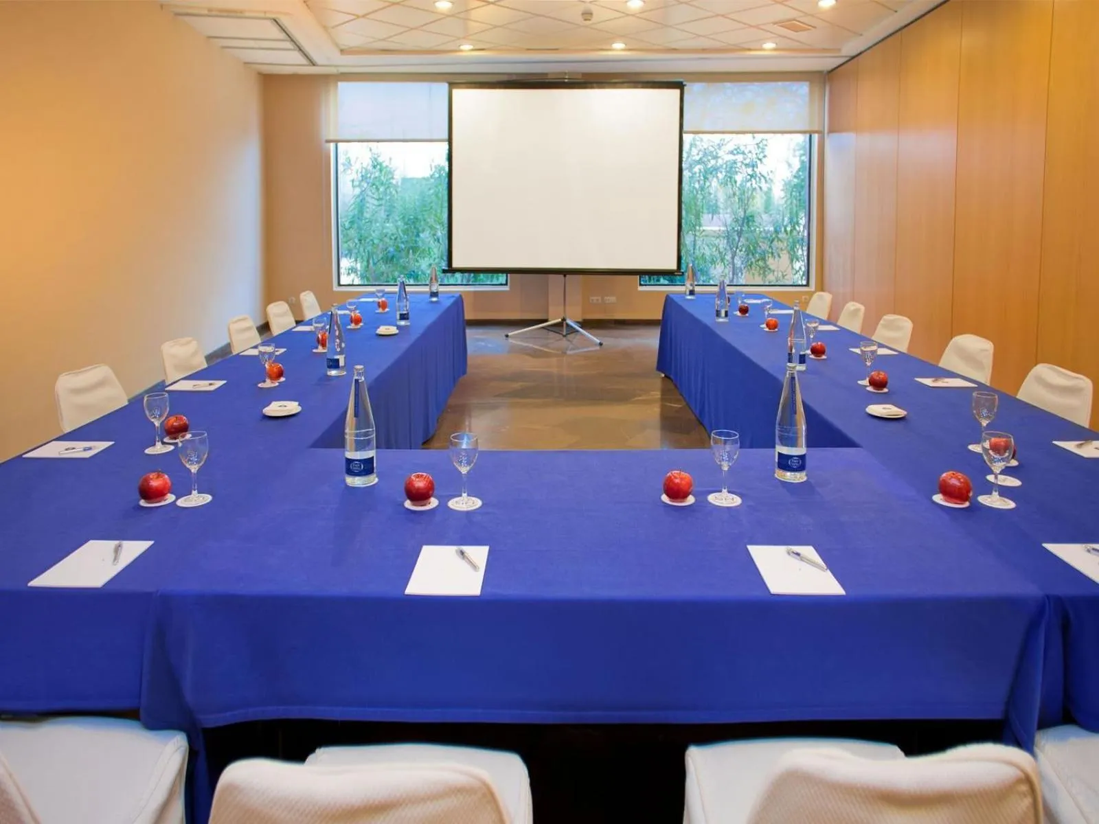 Meeting/conference room in Flag Hotel Valencia