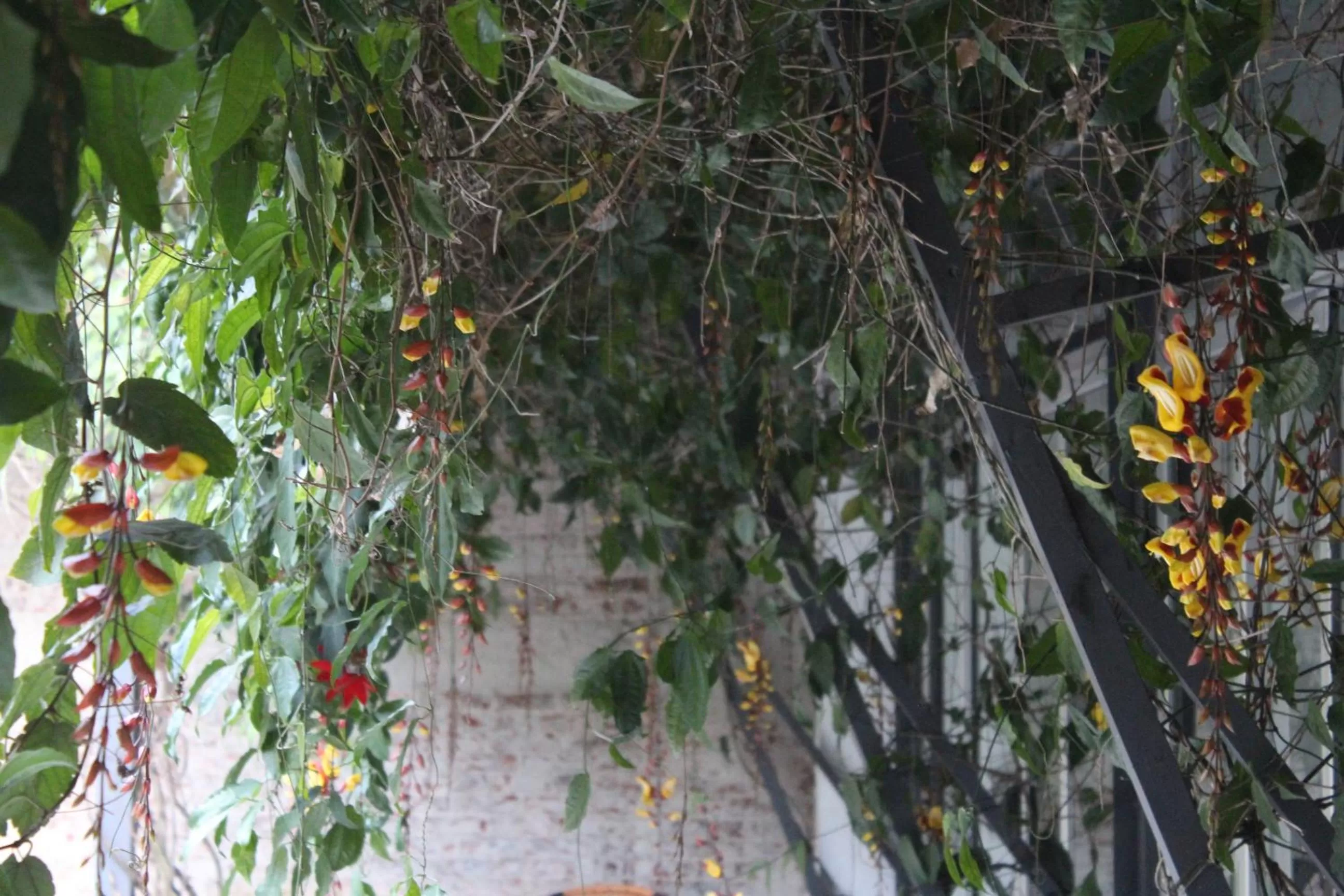 Cando Living Apartments in Central Avenue