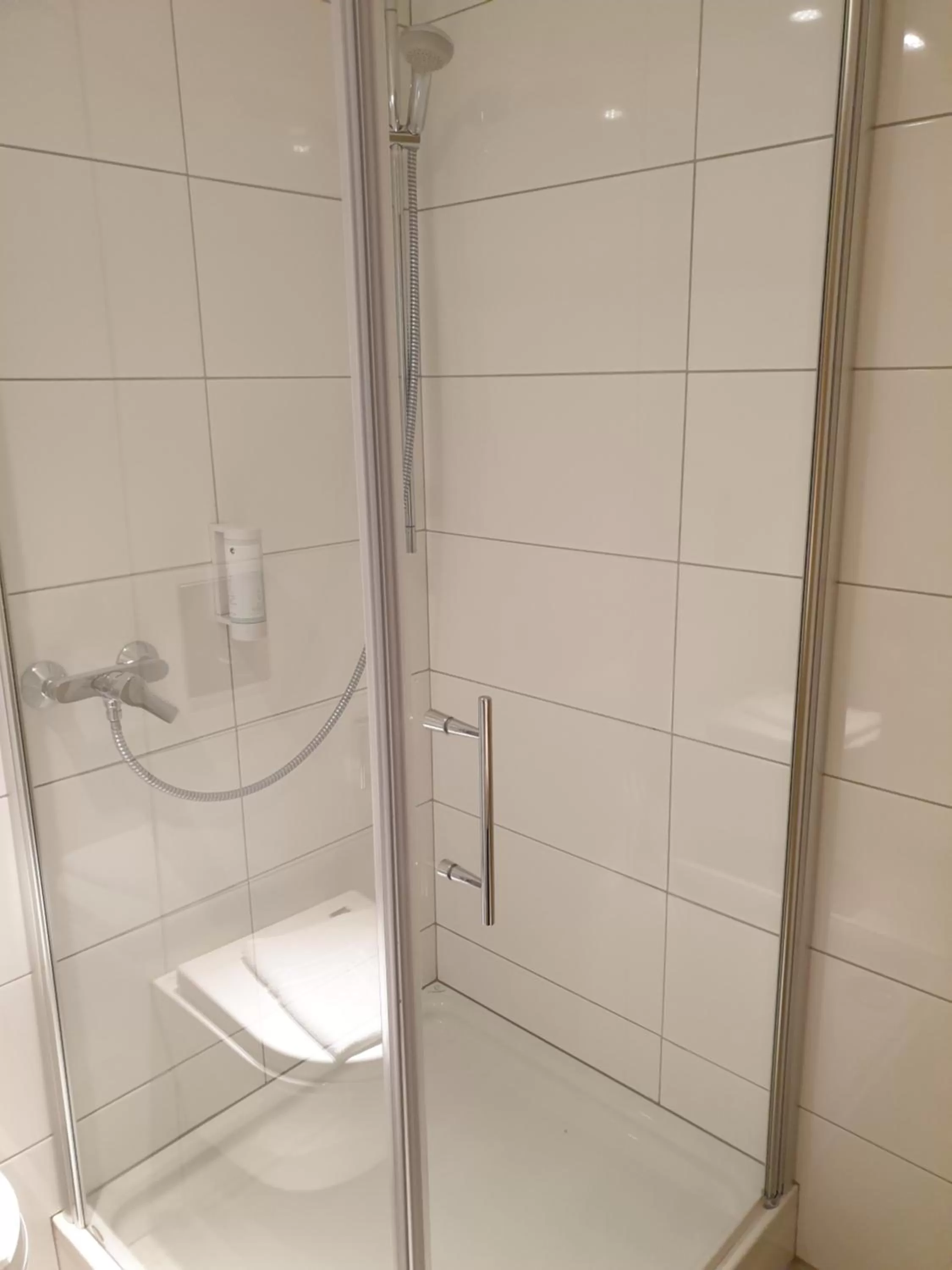 Shower, Bathroom in Hotel Waldblick