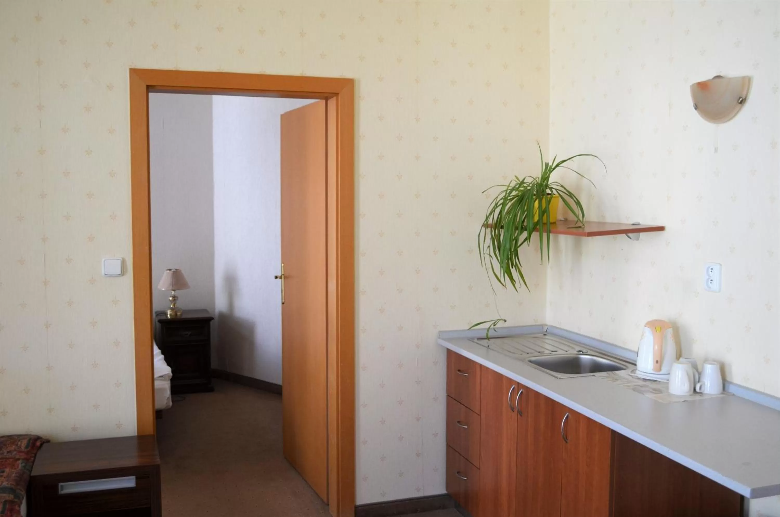 Kitchen or kitchenette in Hotel Petr