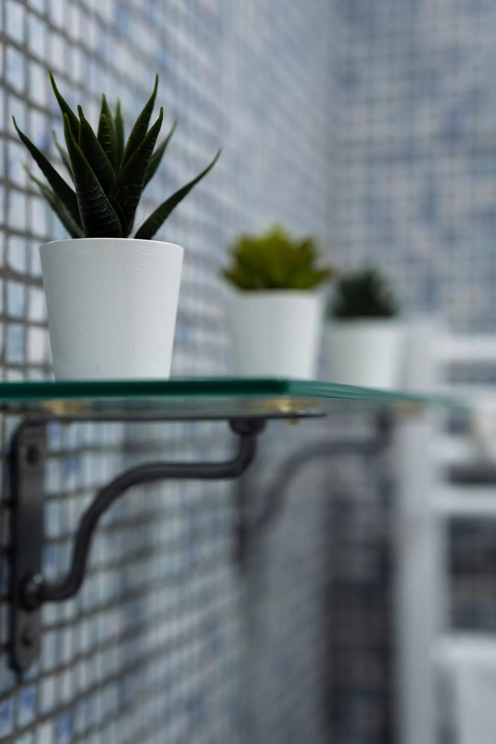 Decorative detail in Tiè tiè