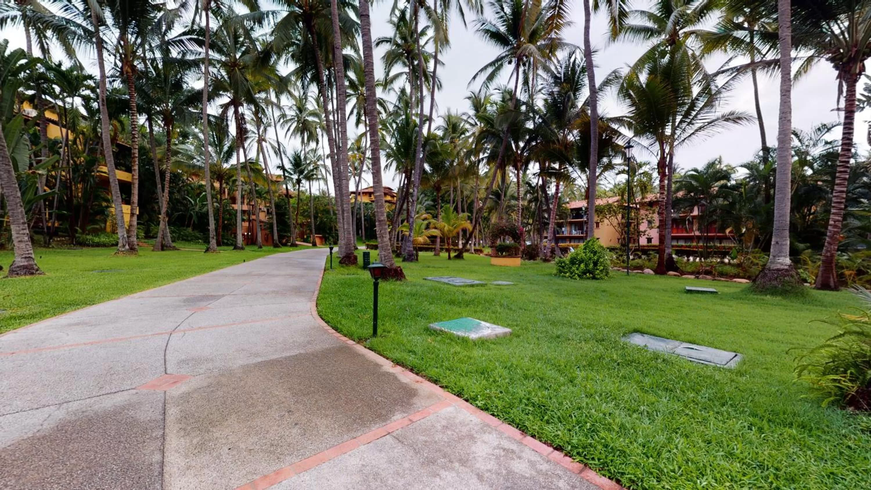 Natural landscape in Park Royal Homestay Los Tules Puerto Vallarta