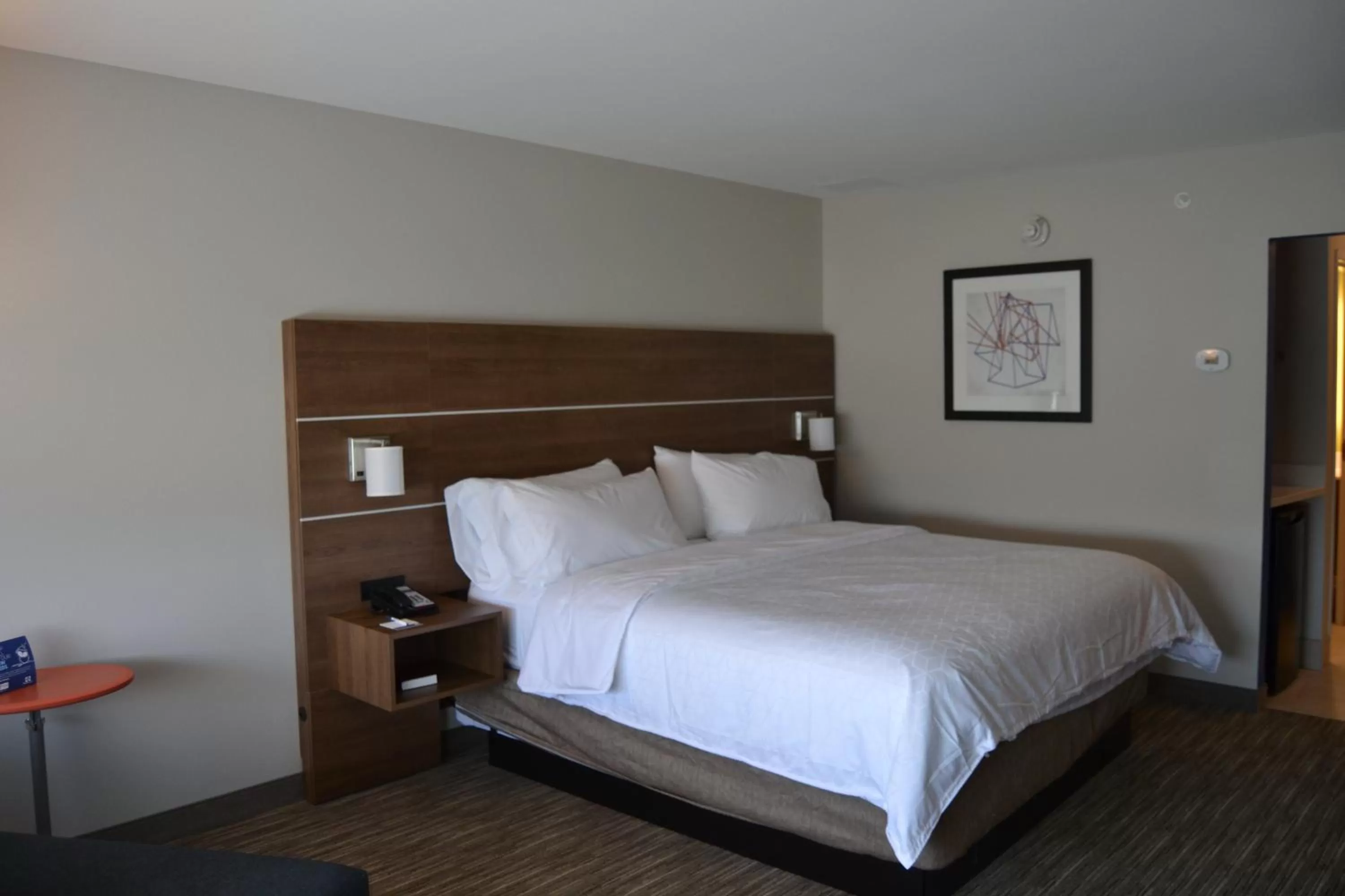 Photo of the whole room, Bed in Holiday Inn Express & Suites Goodlettsville N - Nashville by IHG