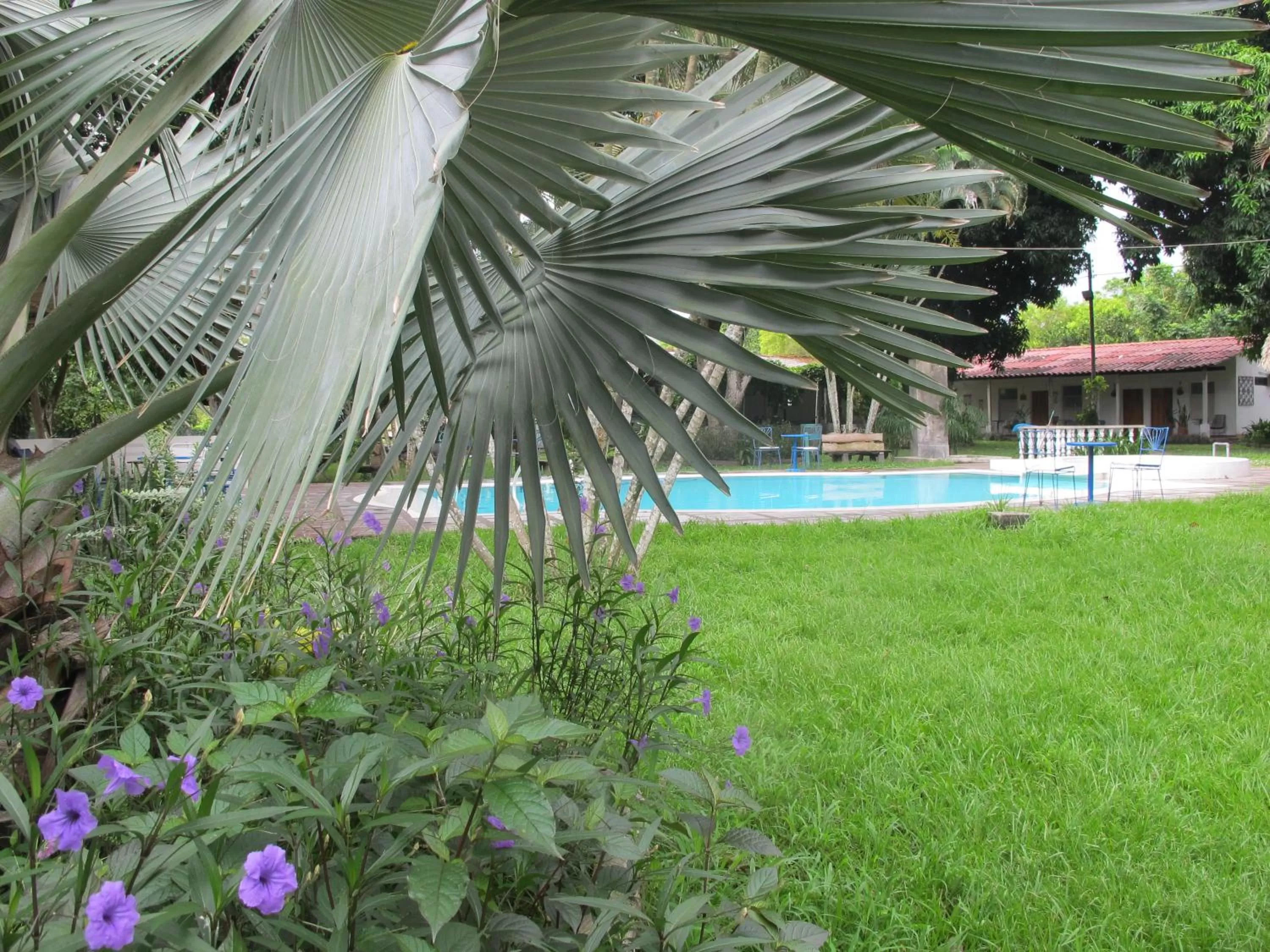Natural landscape, Swimming Pool in Waka Hotel Rural