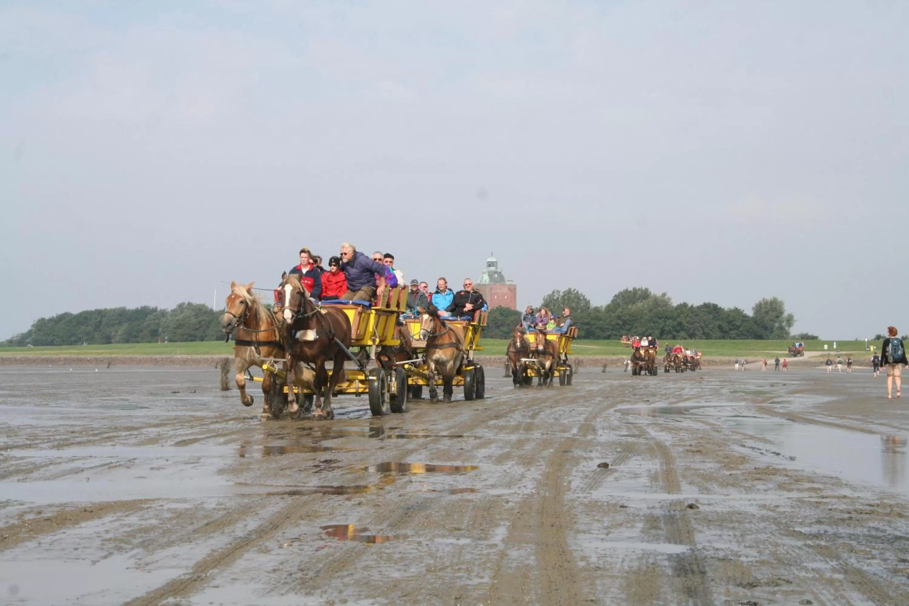 Area and facilities in Aparthotel Am Meer