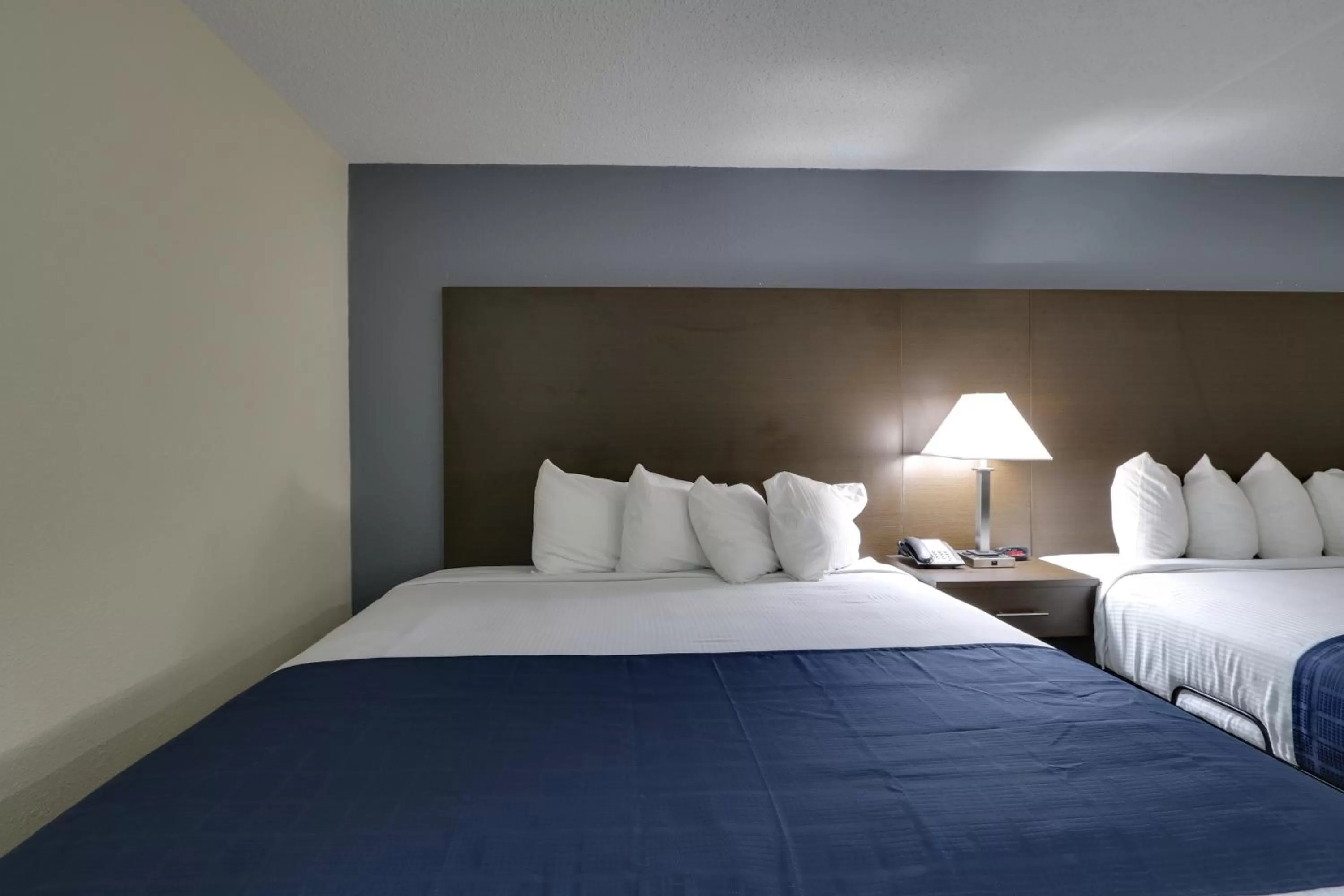 Bed in Baymont by Wyndham Ridgeland I-95