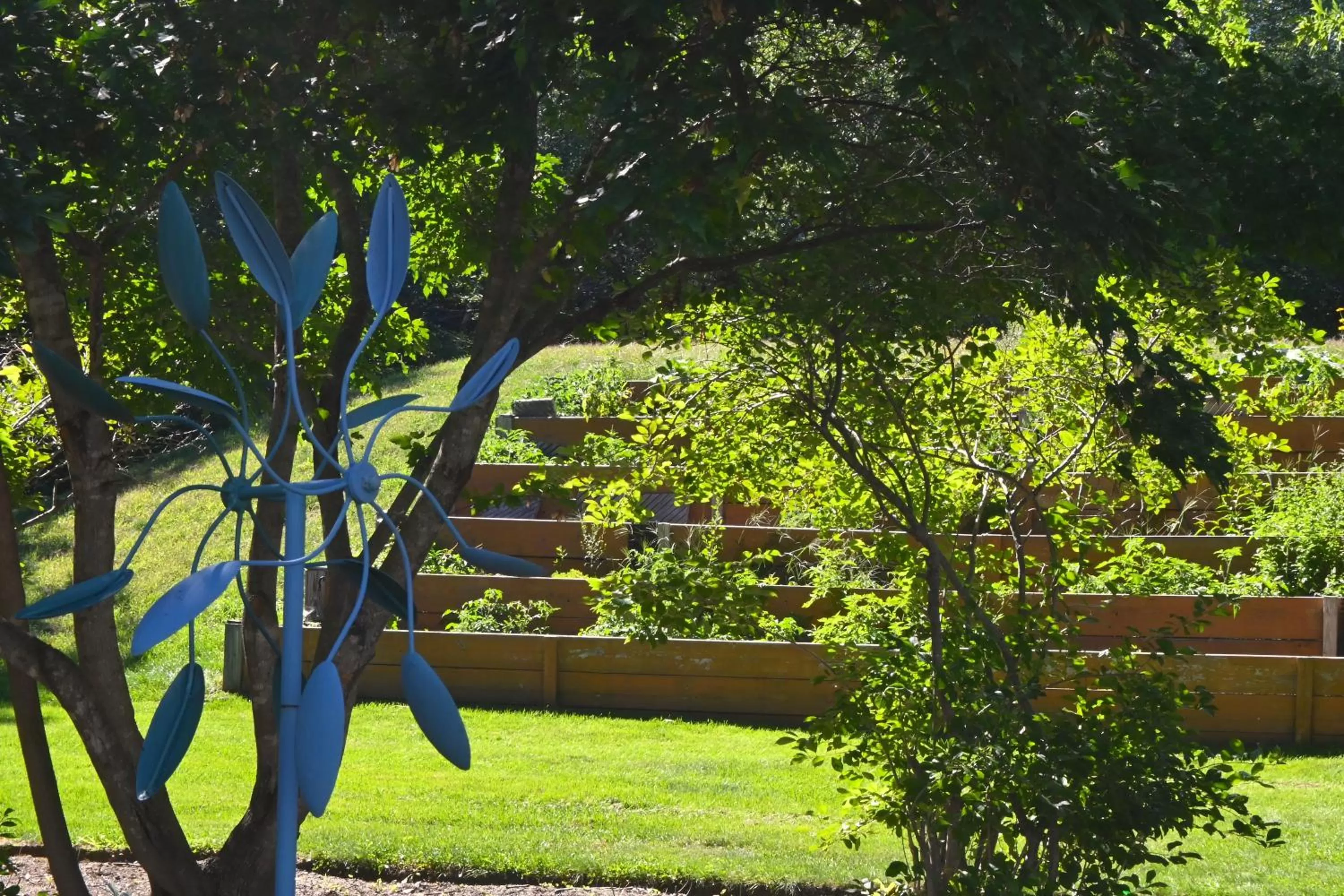 Garden in The Lodge at Jackson Village