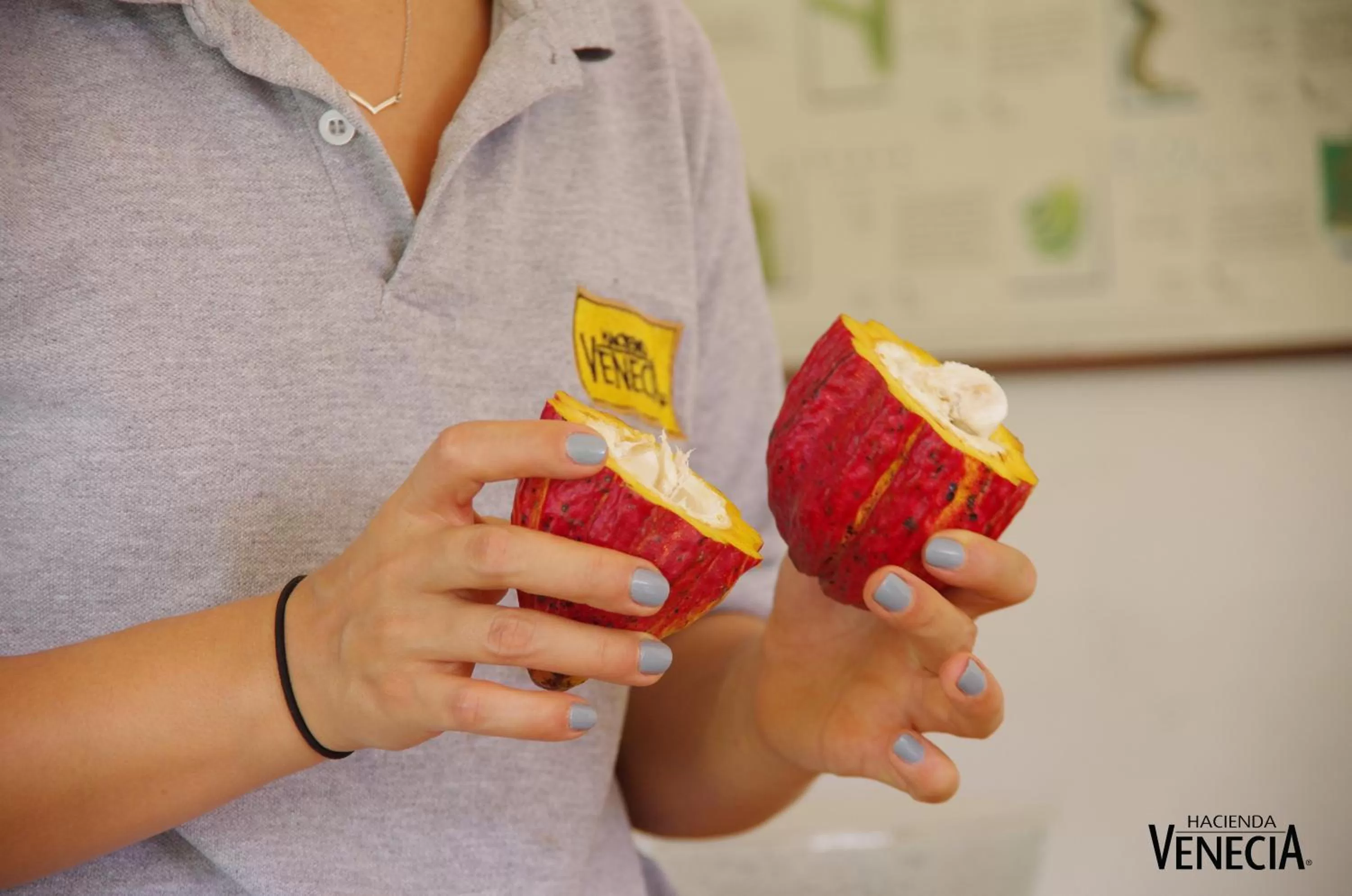 Activities in Hacienda Venecia Coffee Farm Hotel