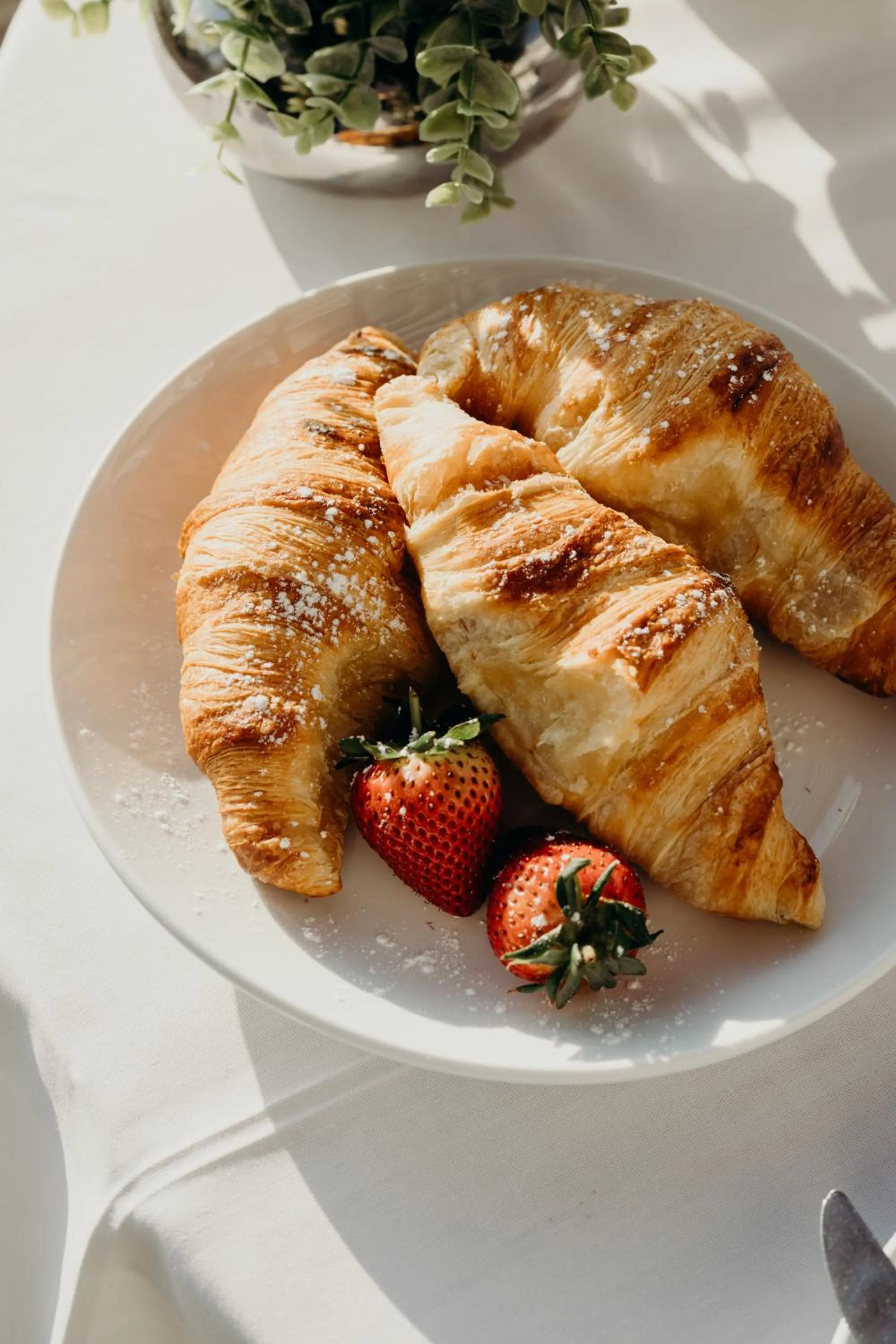 Patio in The Robberg Beach Lodge - Lion Roars Hotels & Lodges