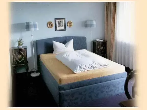 Single Room in Hotel-Restaurant Central am Königshof Single Room in Hotel-Restaurant Central am Königshof