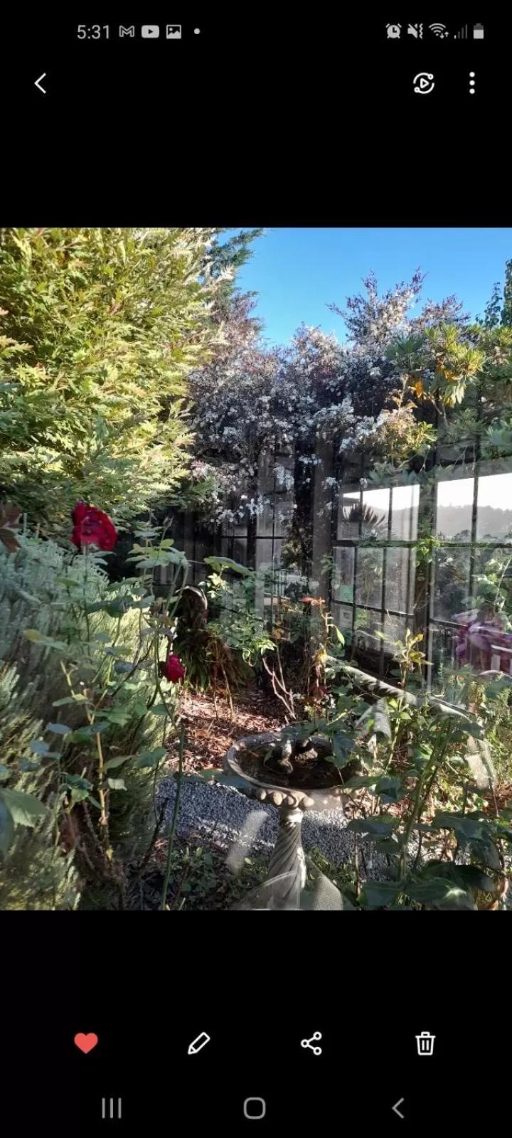 Hillside Bed and Breakfast