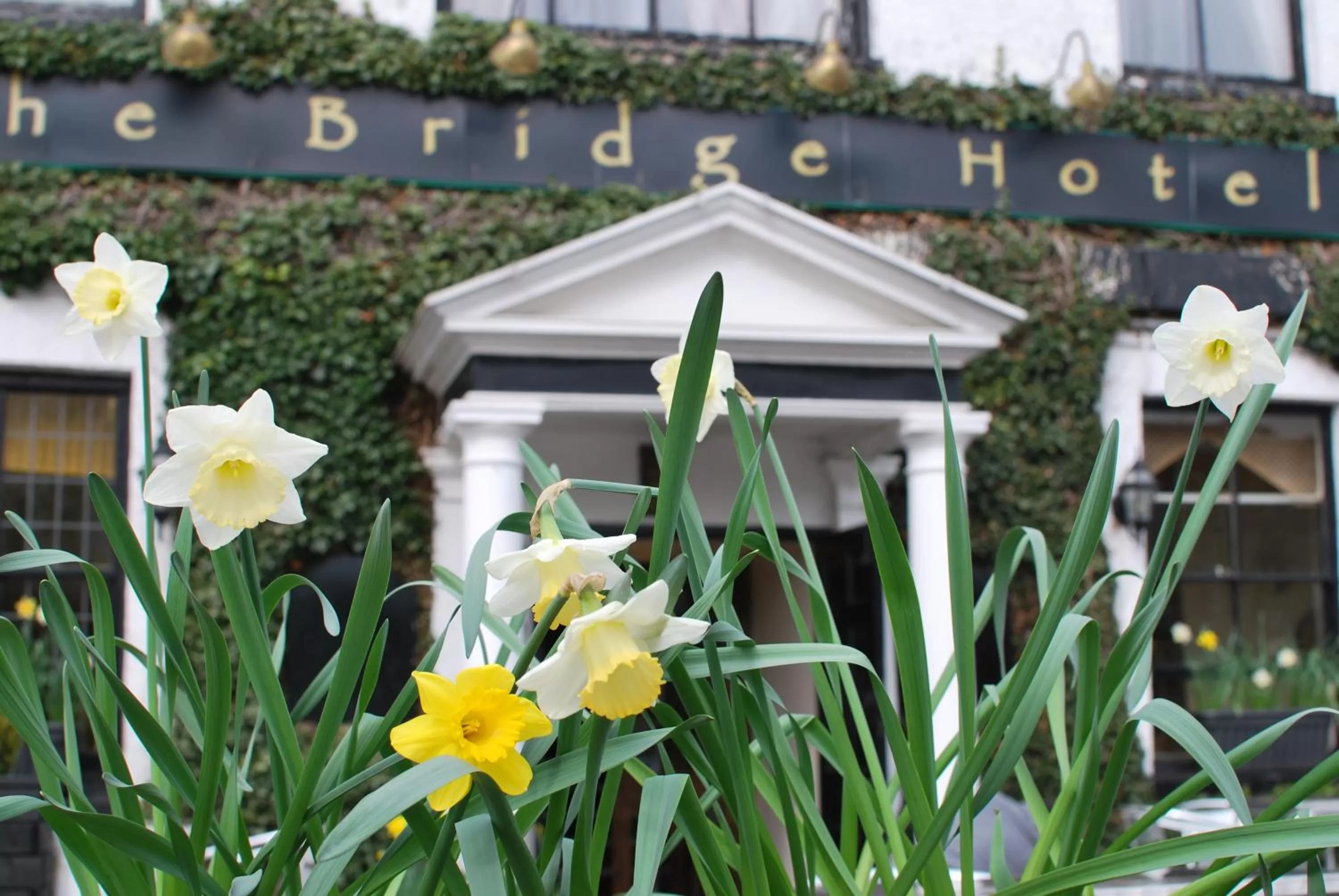 Facade/entrance, Property Building in The Bridge Hotel