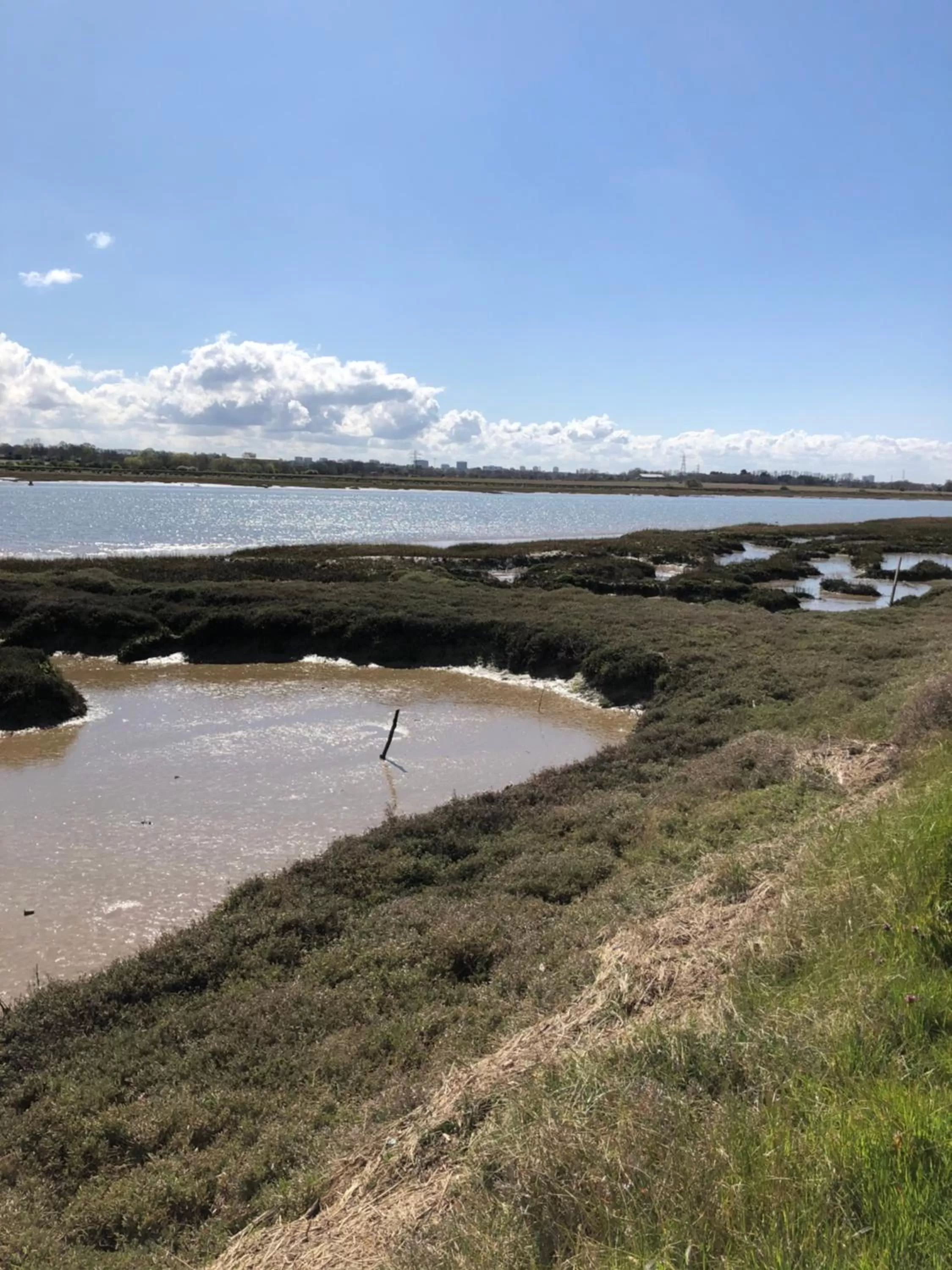 Natural landscape in Southend Airport Bed & Breakfast
