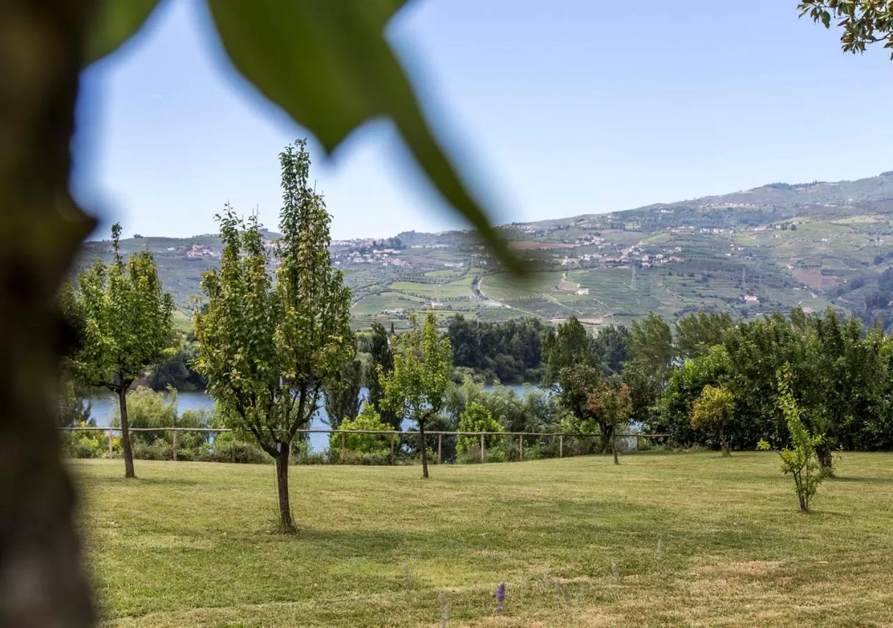 Mountain view in Hotel Columbano
