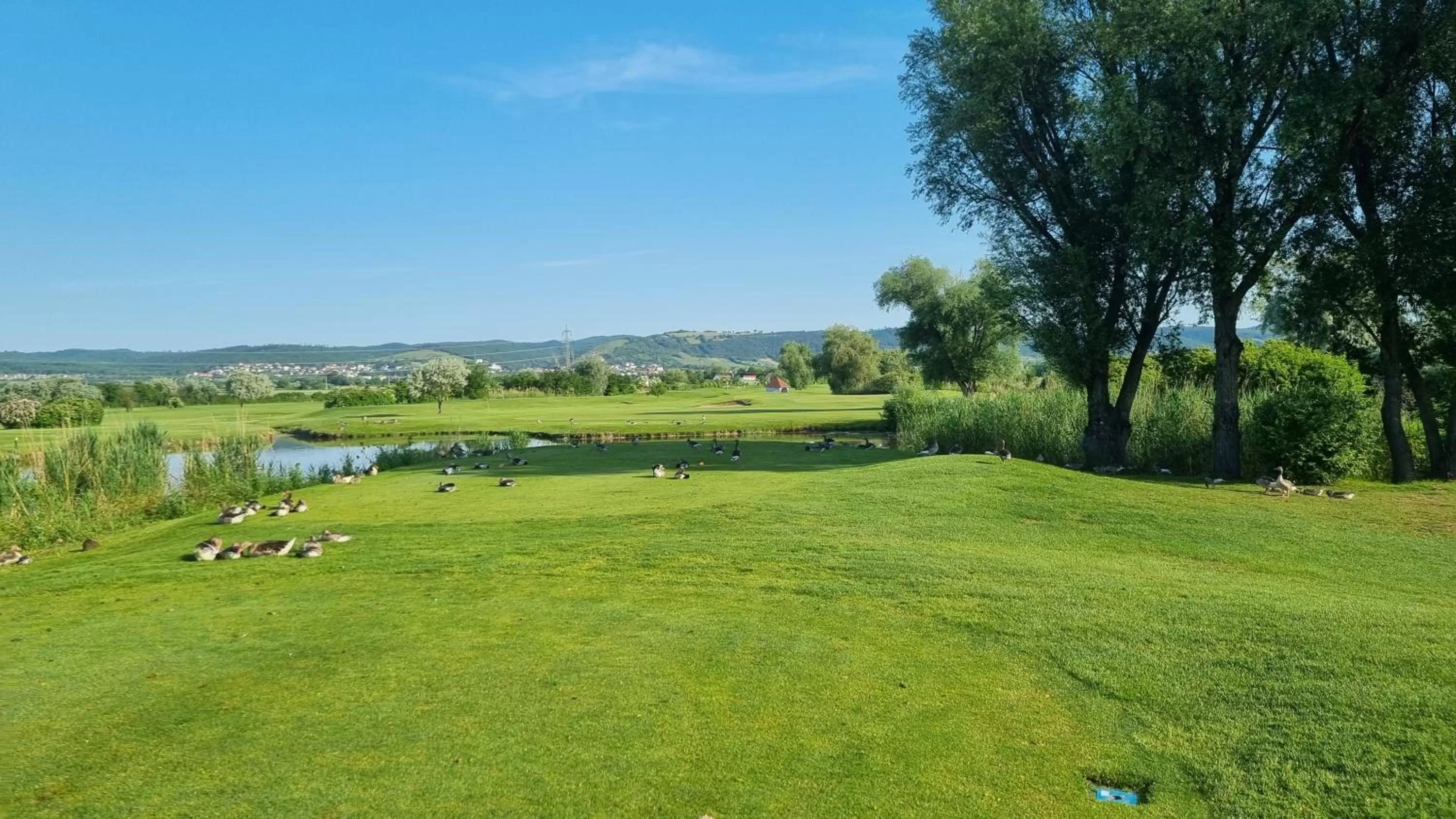 Golfcourse in BIRKENHOF GOLS - B & B - Wohlfühl Hotel mit Wochenend-Restaurant