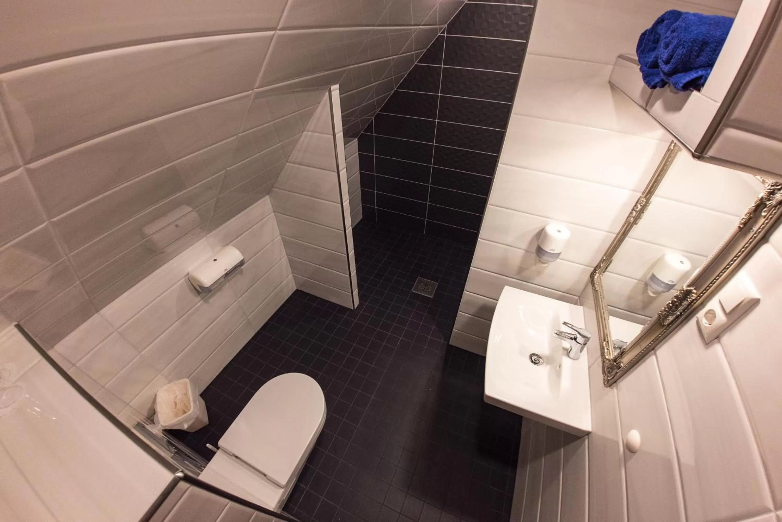 Shower, Bathroom in Aleksandri Guesthouse