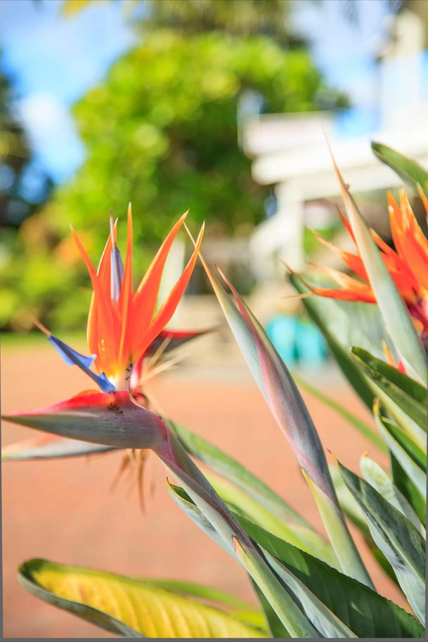 Area and facilities in Kerikeri Court Motel