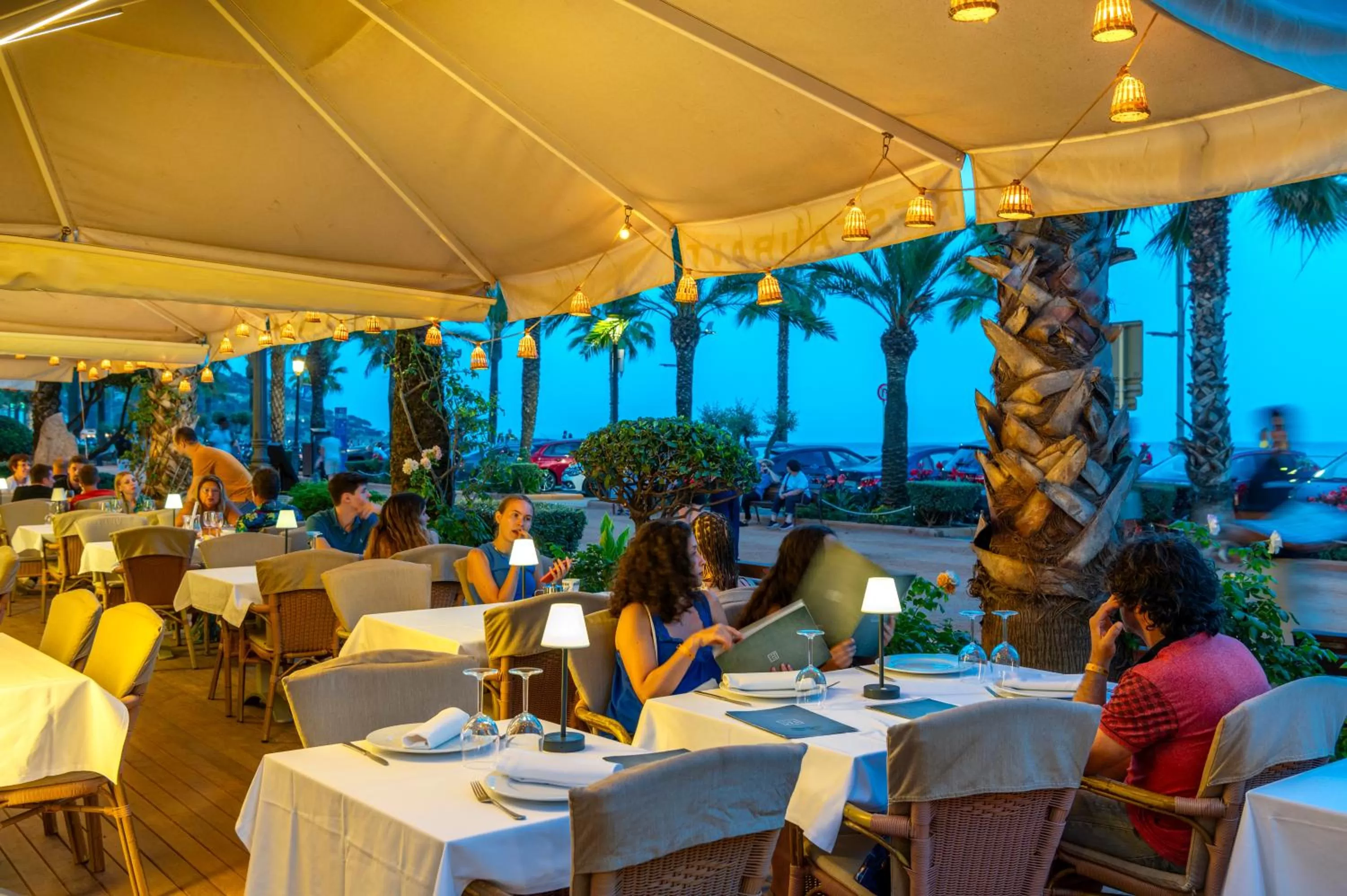 Restaurant/places to eat in Hotel Marsol