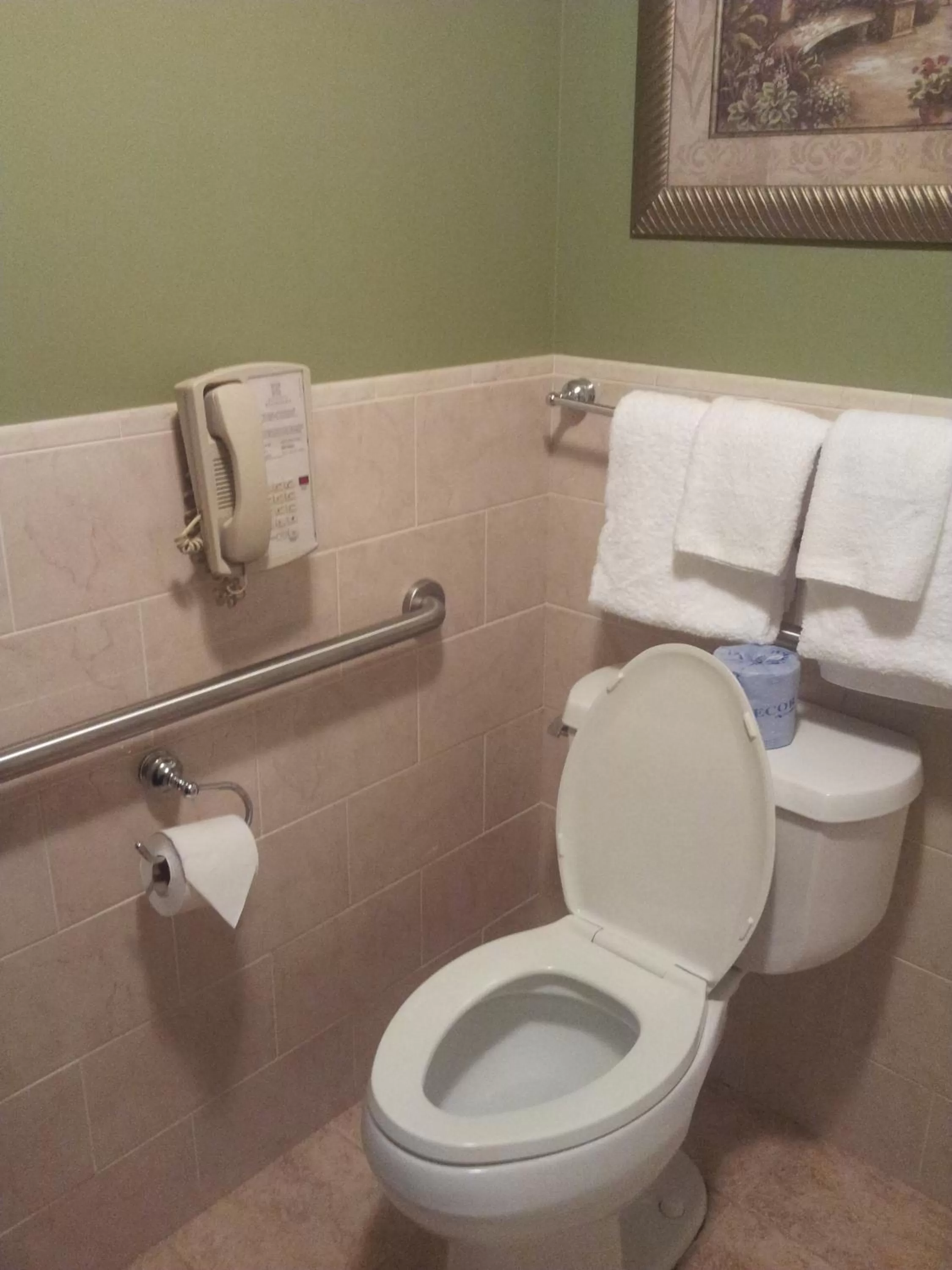 Toilet in Belvedere Inn Schenectady - Albany