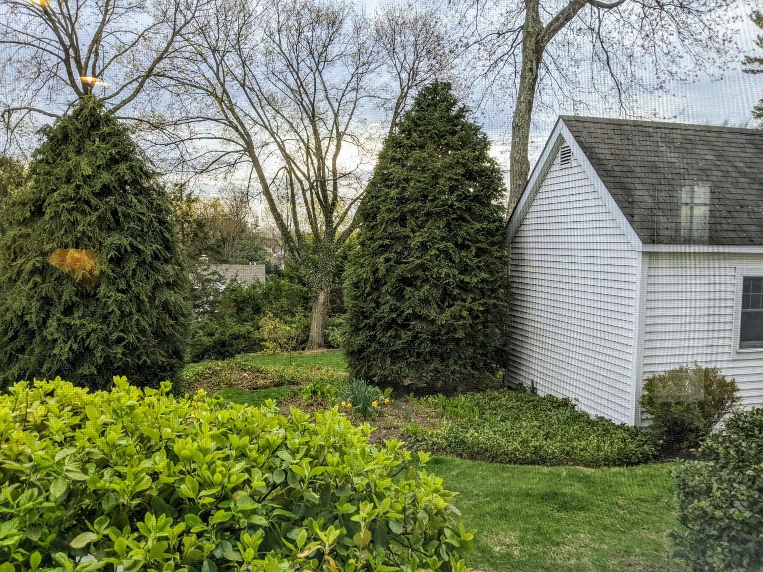View (from property/room) in Stanton House Inn