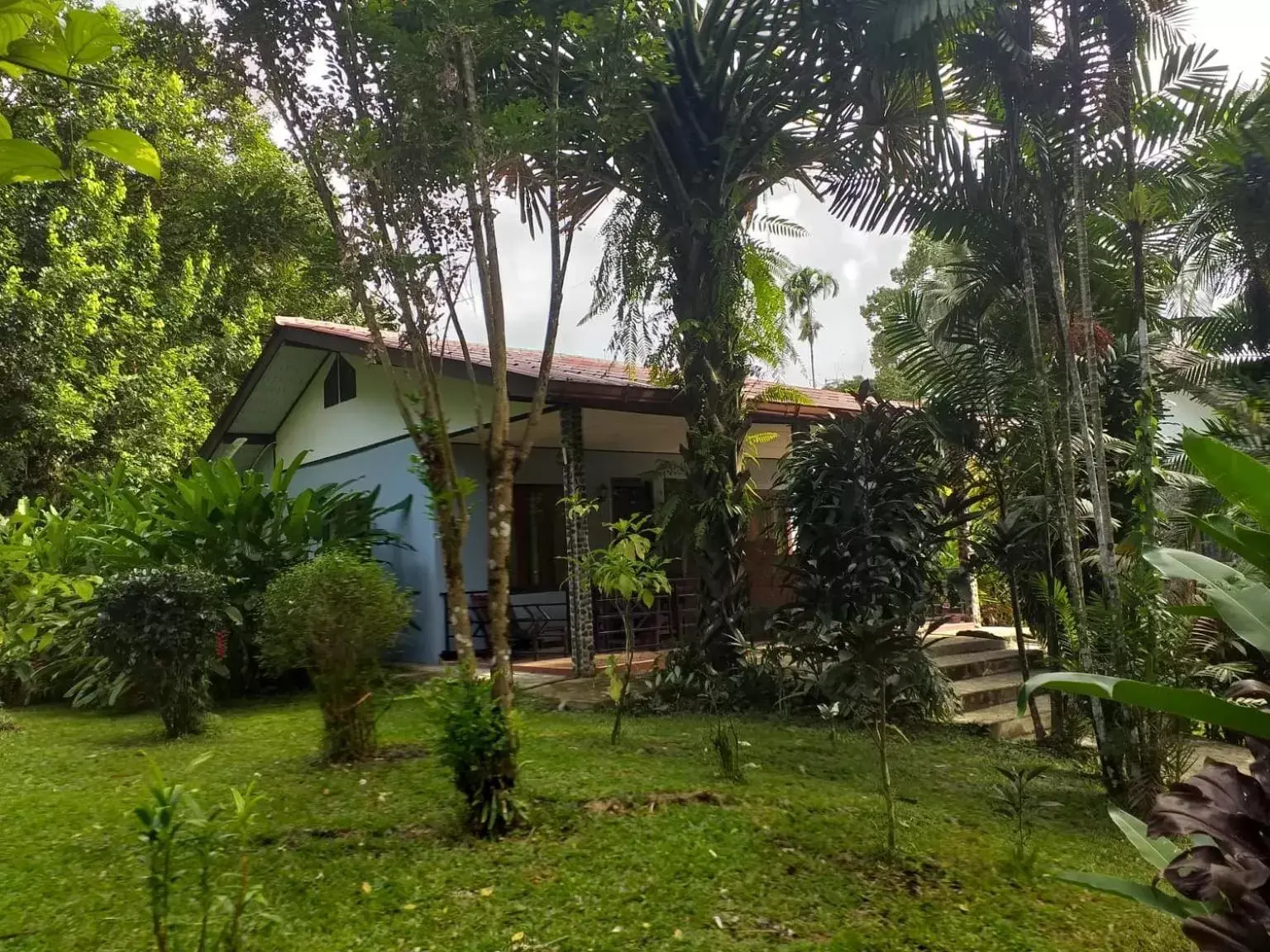 Bungalow (3 Adults) with Air Conditioning in Tree Tops River Huts Bungalow (3 Adults) with Air Conditioning in Tree Tops River Huts